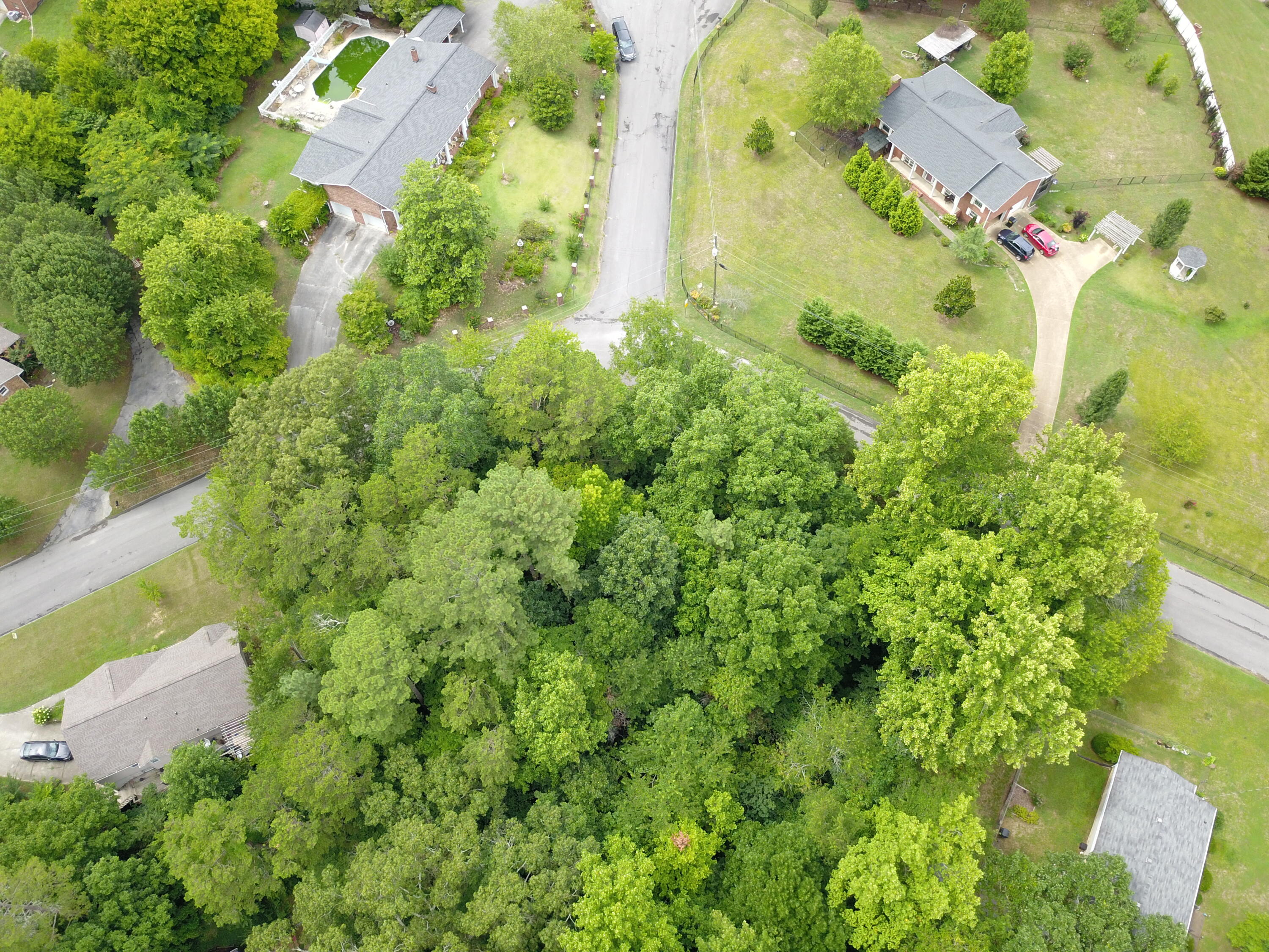 Maple Way, Ringgold, Georgia image 4