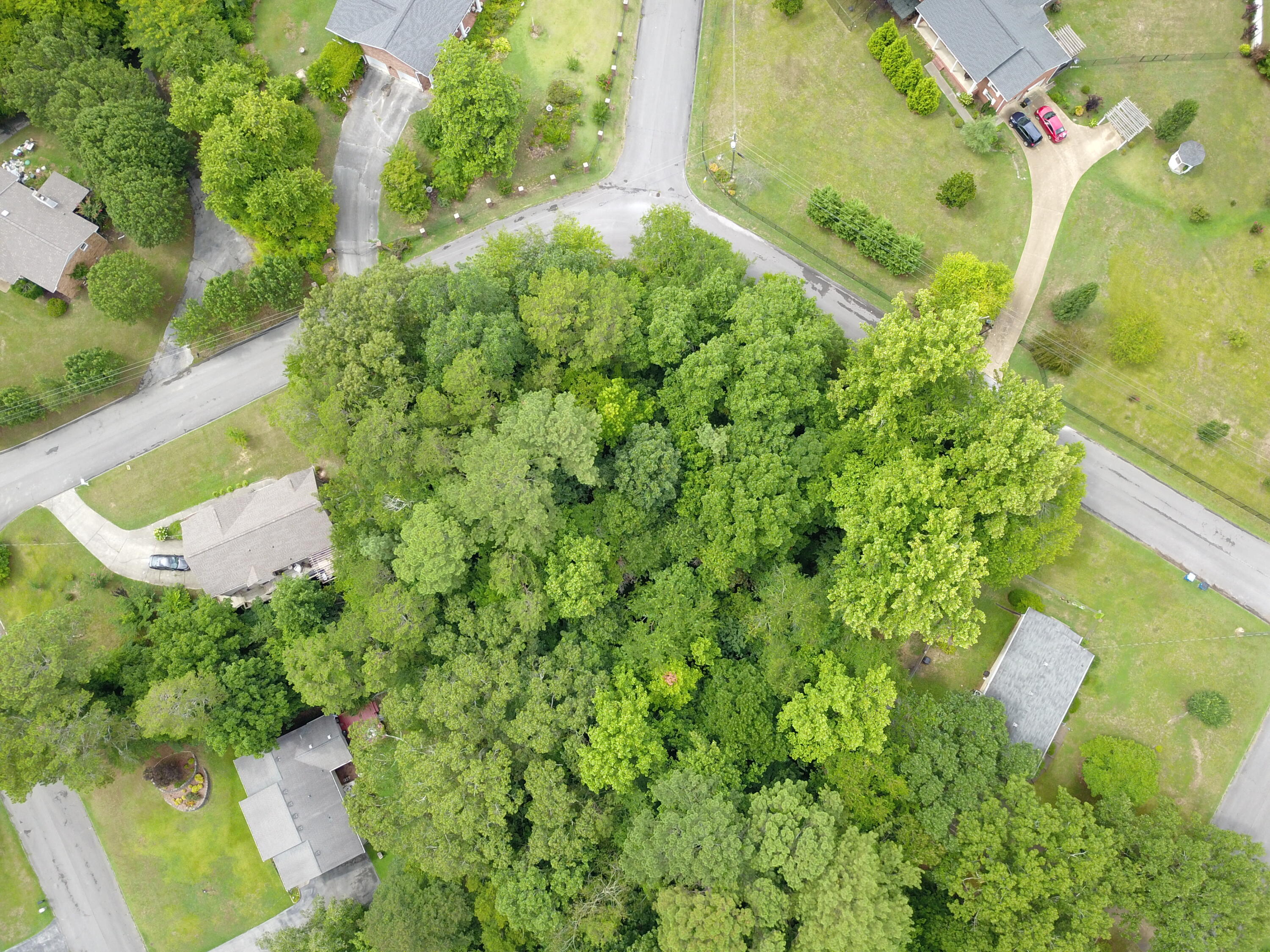 Maple Way, Ringgold, Georgia image 5