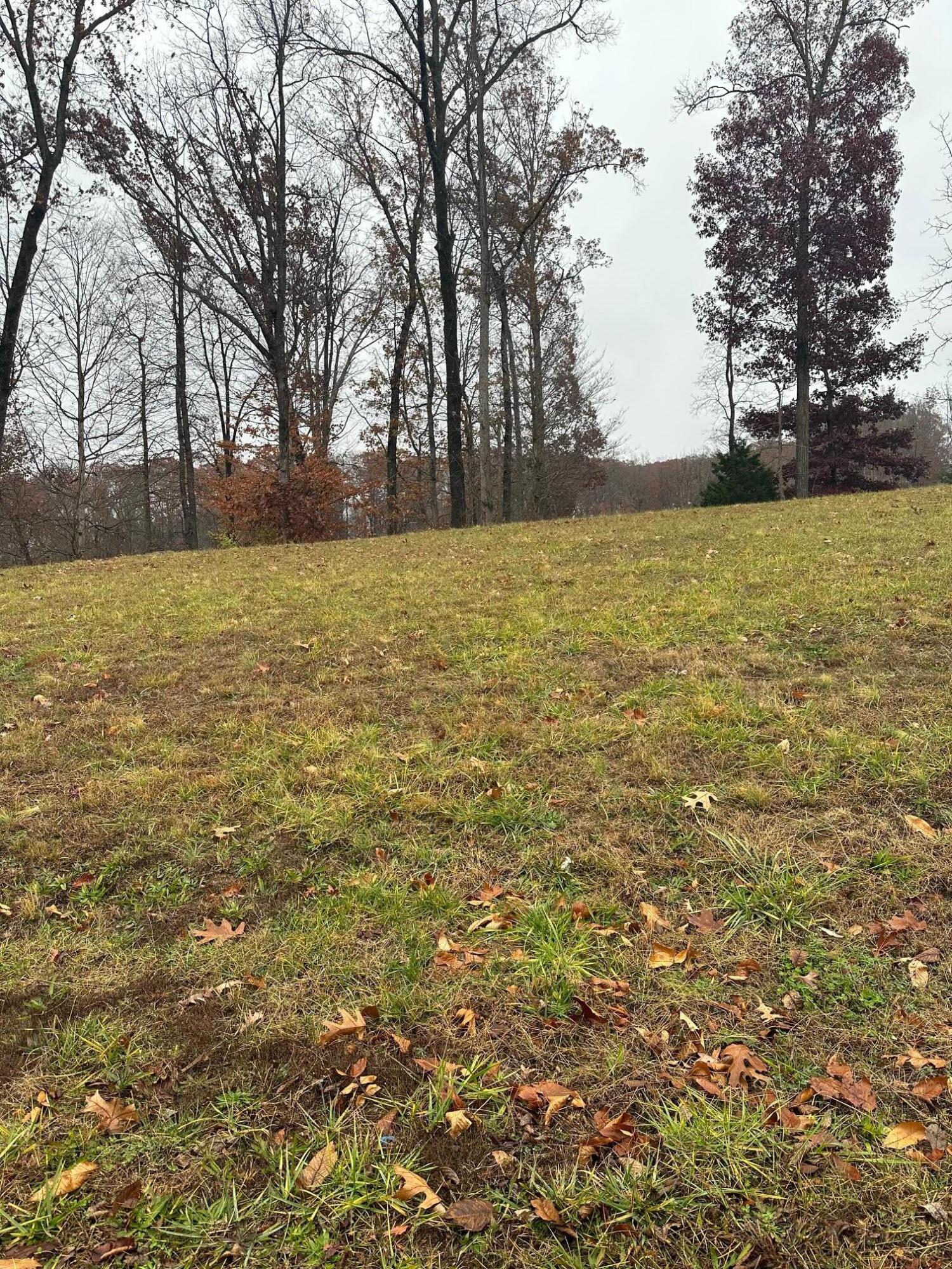 Lot 12 Ridge Park Drive, Cleveland, Tennessee image 4