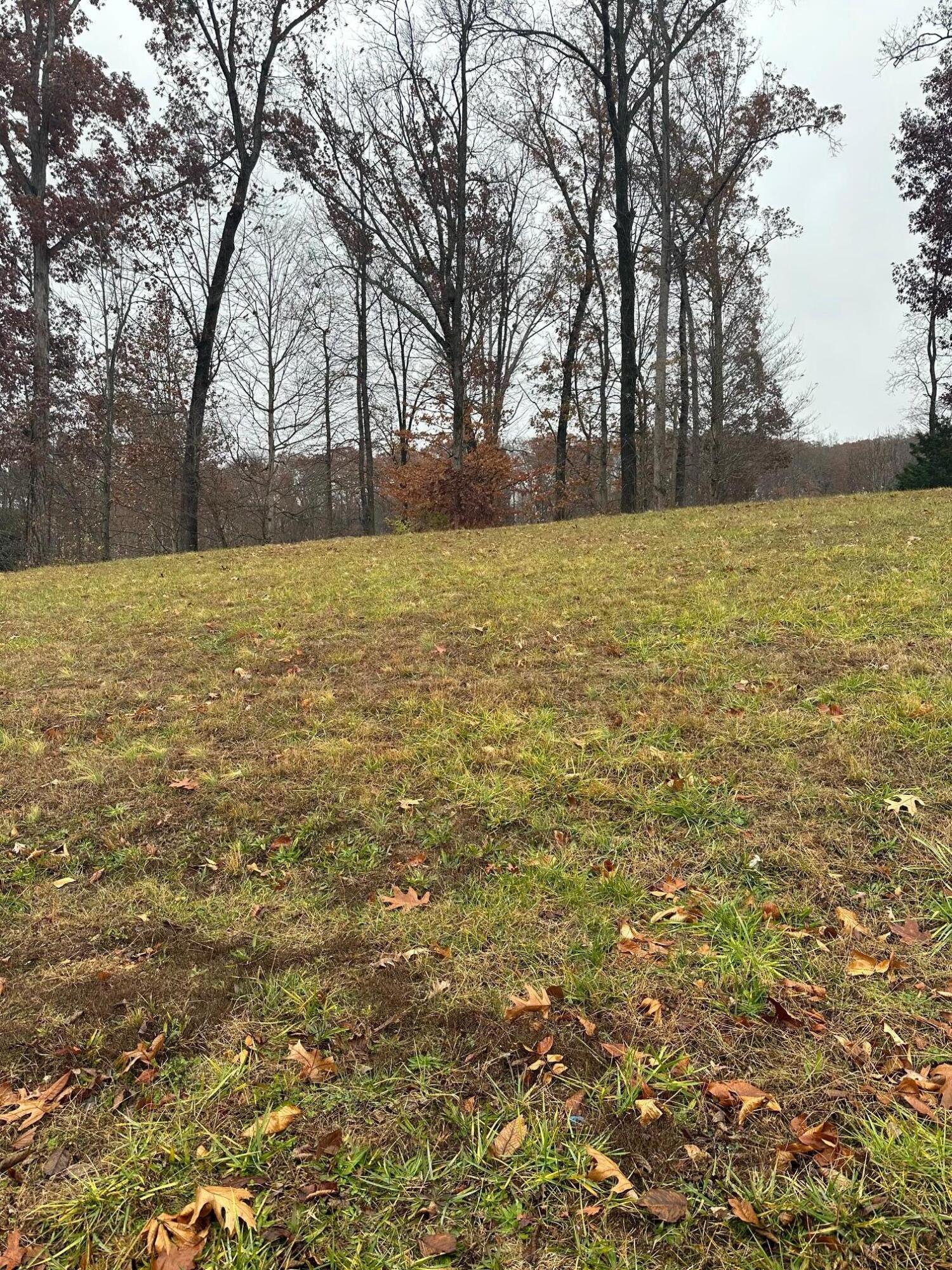 Lot 12 Ridge Park Drive, Cleveland, Tennessee image 1