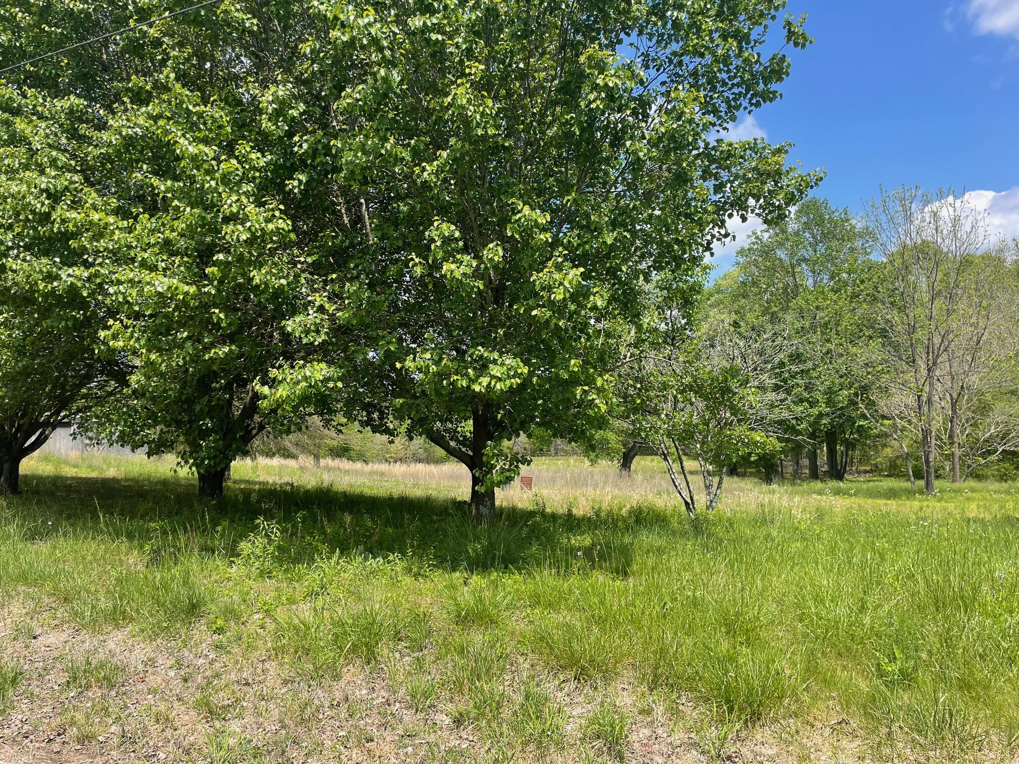 458 County Rd 292, Higdon, Alabama image 2