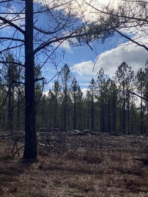 Tiny photo for Lot 3 Thomas Springs Road, Crossville, TN 38572 (MLS # 1529374)