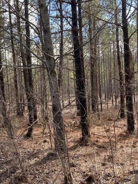 Photo of Lot 3 Thomas Springs Road, Crossville, TN 38572 (MLS # 1529374)