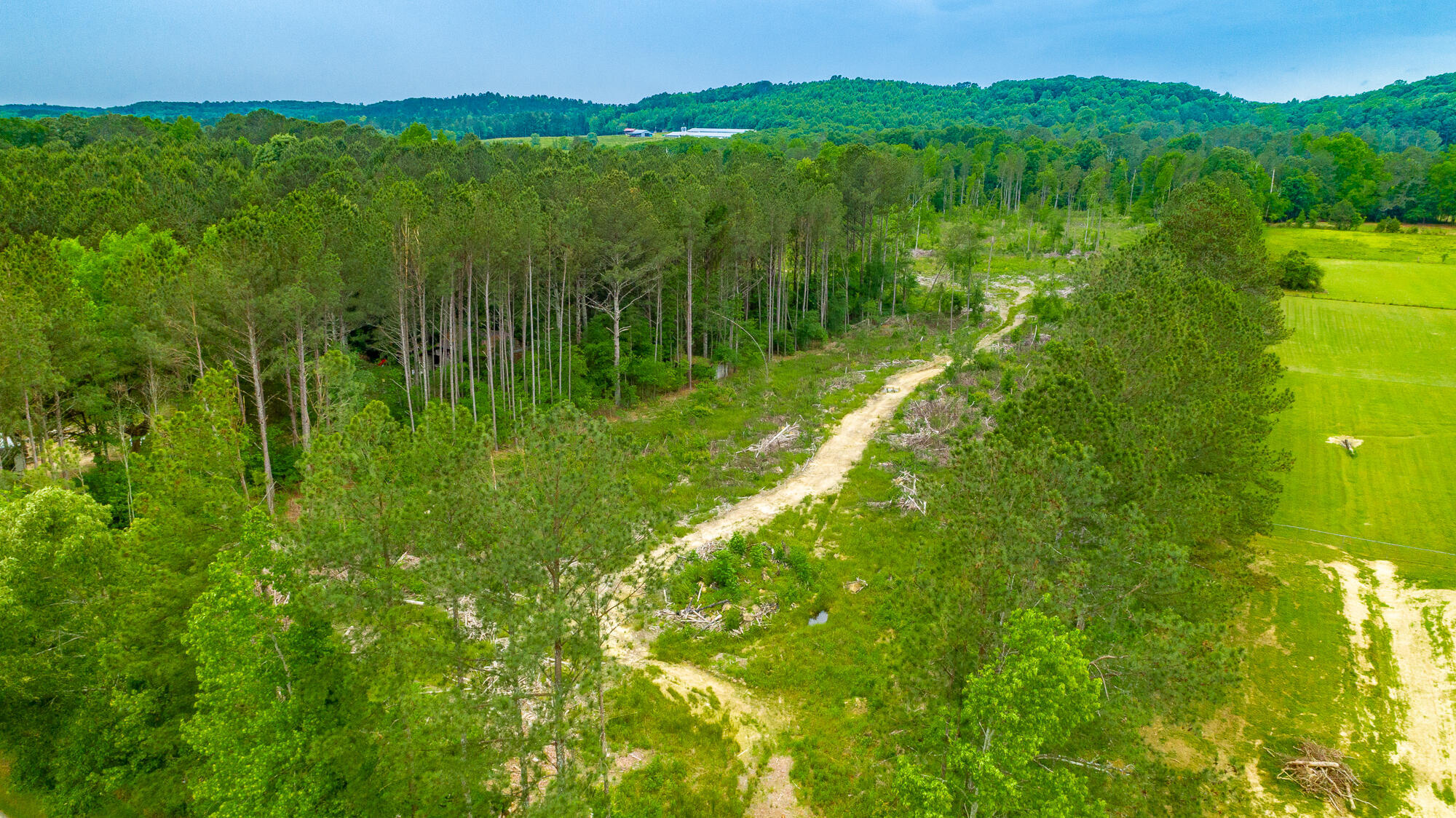 21 Acres Mount Pleasant Road, Cohutta, Georgia image 41