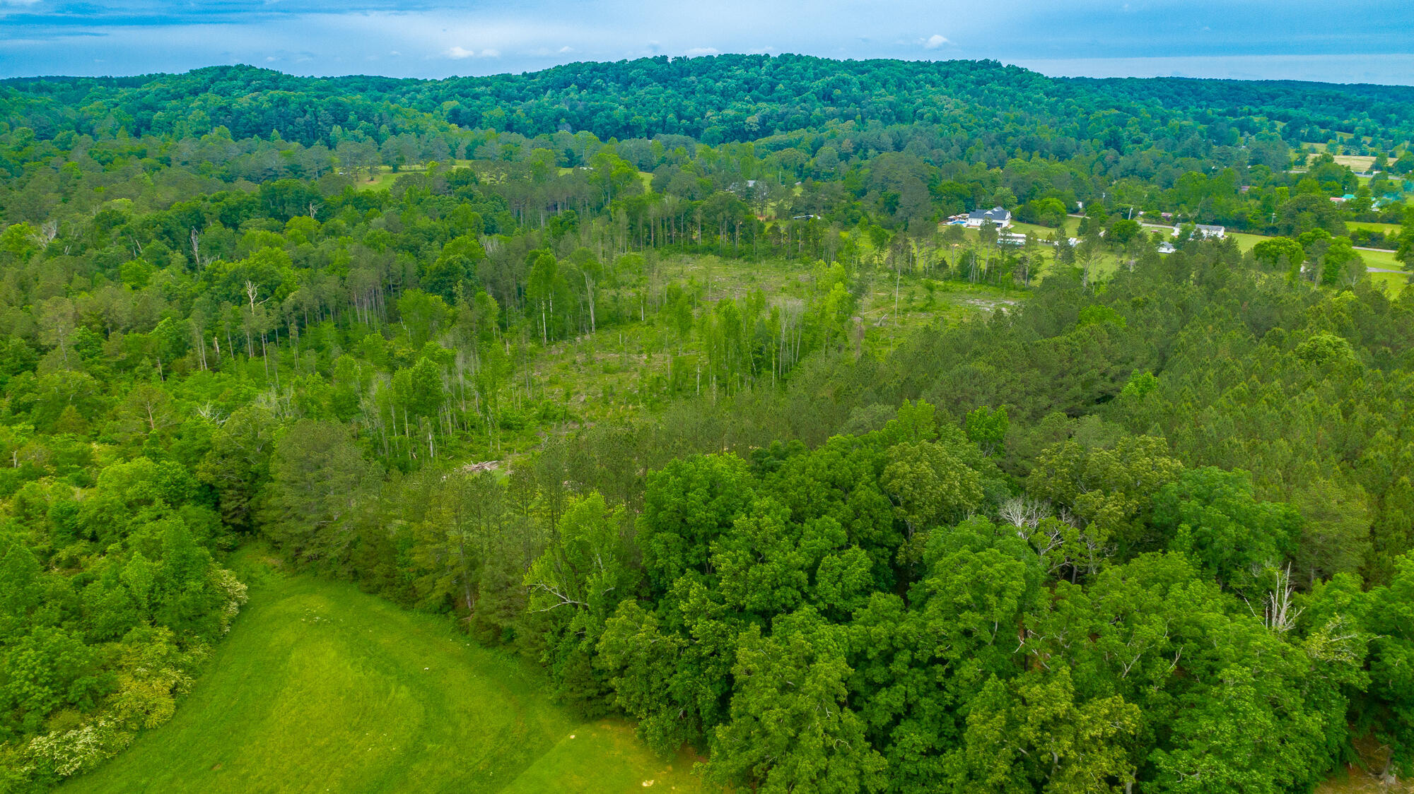 21 Acres Mount Pleasant Road, Cohutta, Georgia image 10