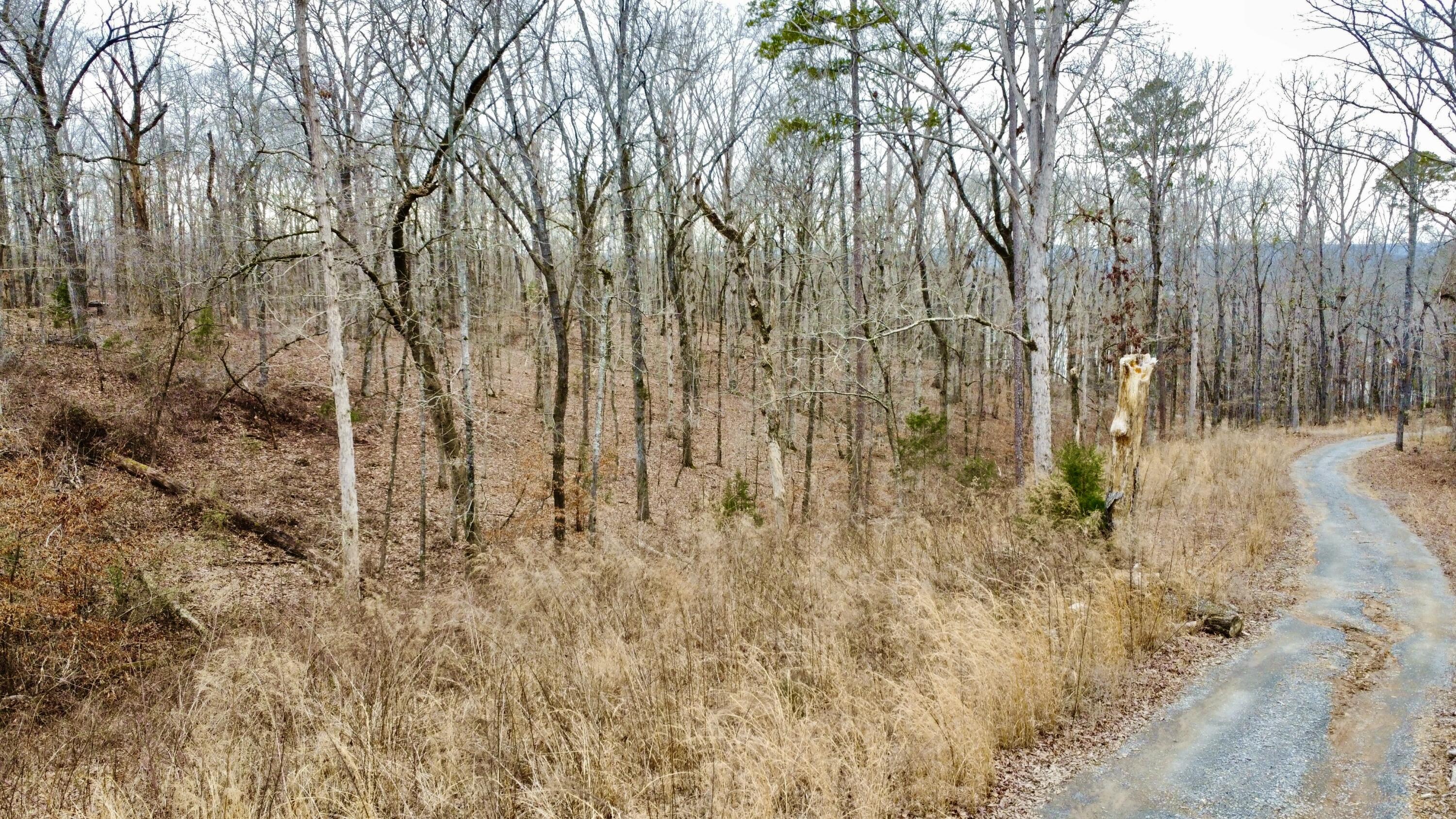 9.07 Acres Shahan Lane, Birchwood, Tennessee image 3