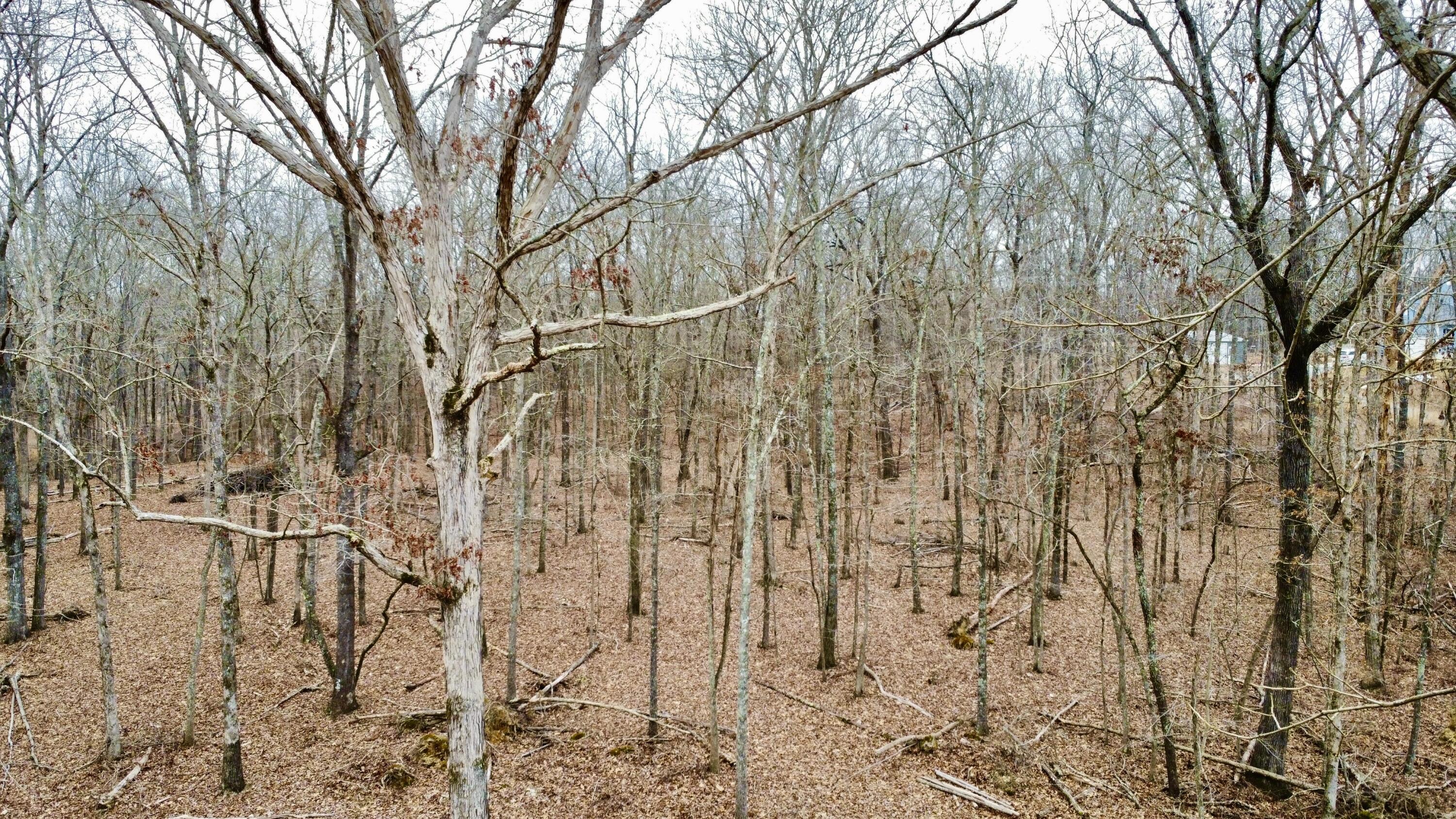 9.07 Acres Shahan Lane, Birchwood, Tennessee image 7