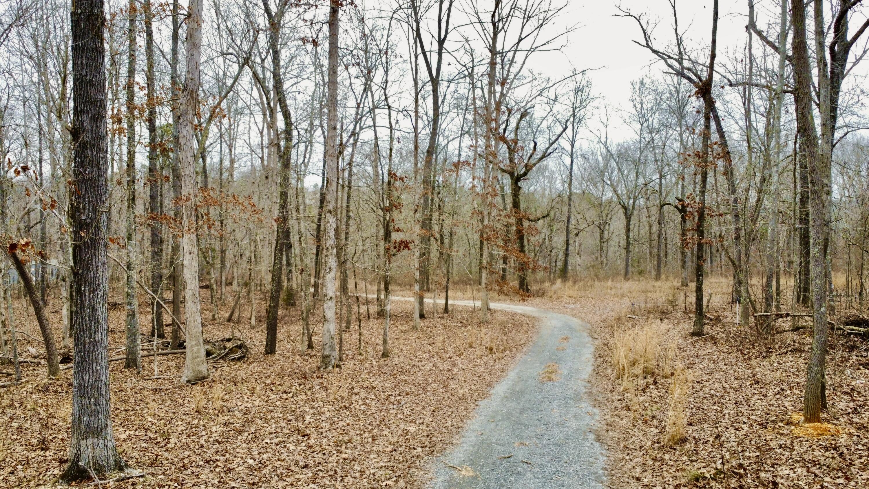 9.07 Acres Shahan Lane, Birchwood, Tennessee image 1