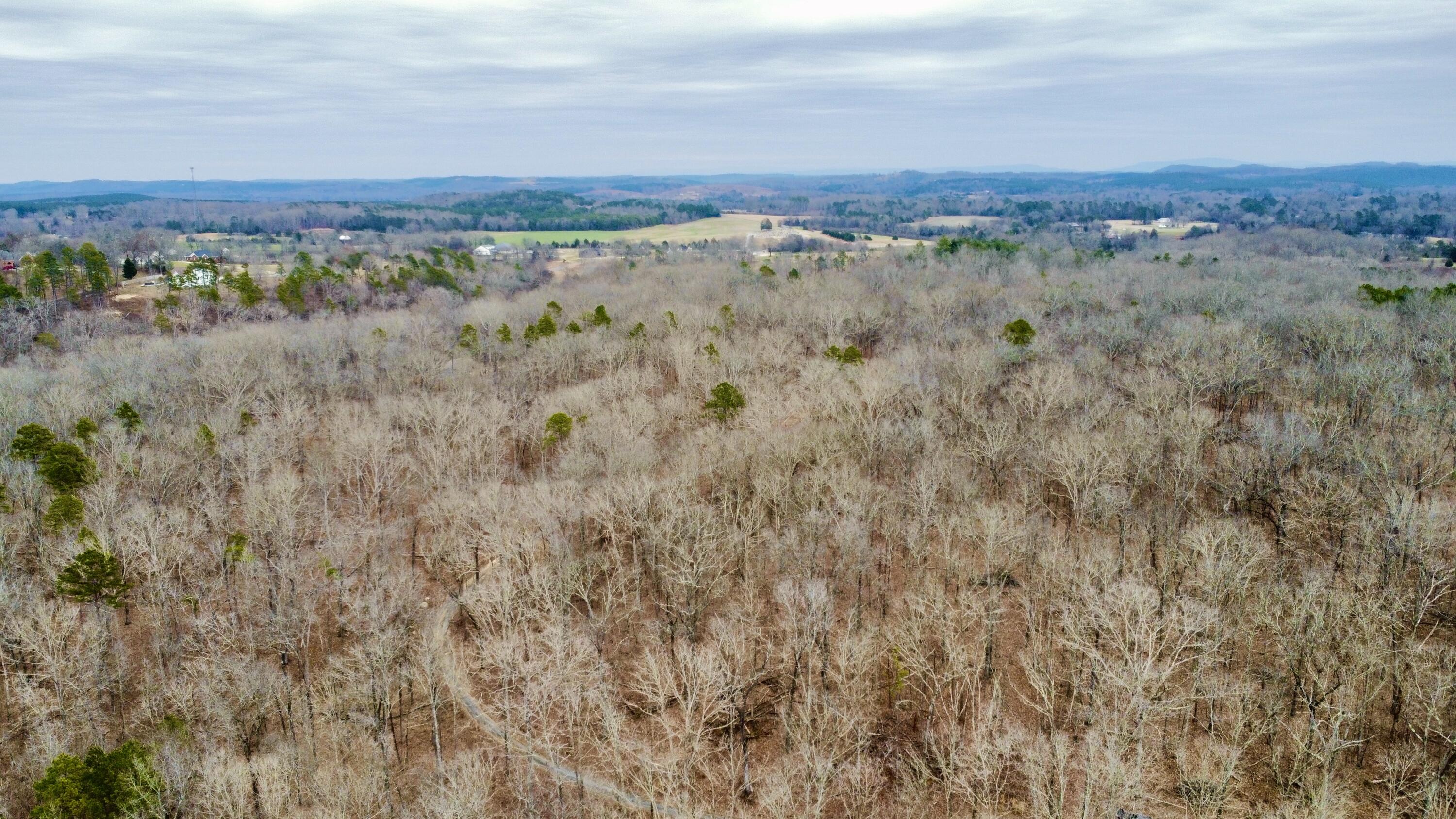 9.07 Acres Shahan Lane, Birchwood, Tennessee image 14