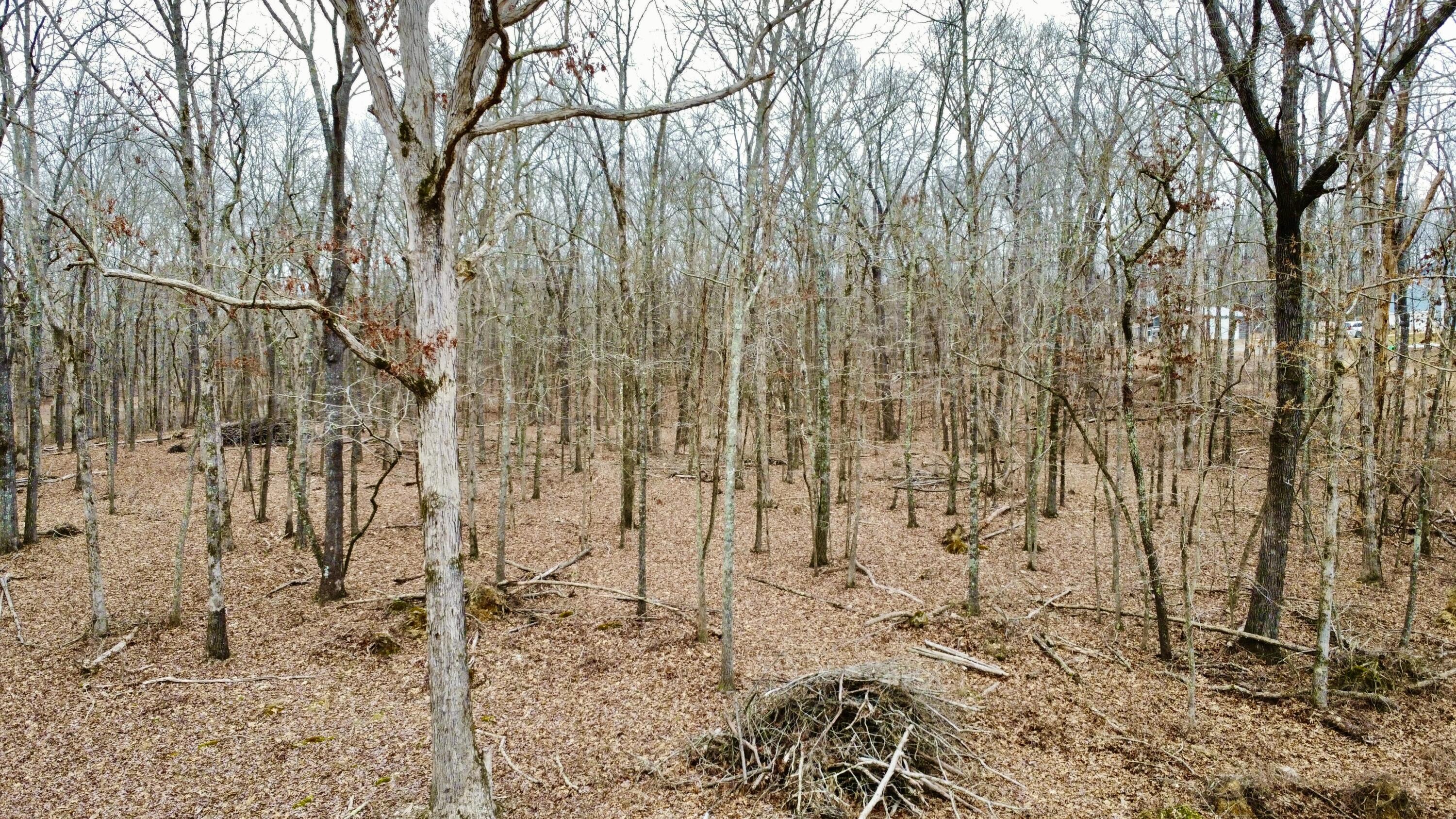 9.07 Acres Shahan Lane, Birchwood, Tennessee image 4
