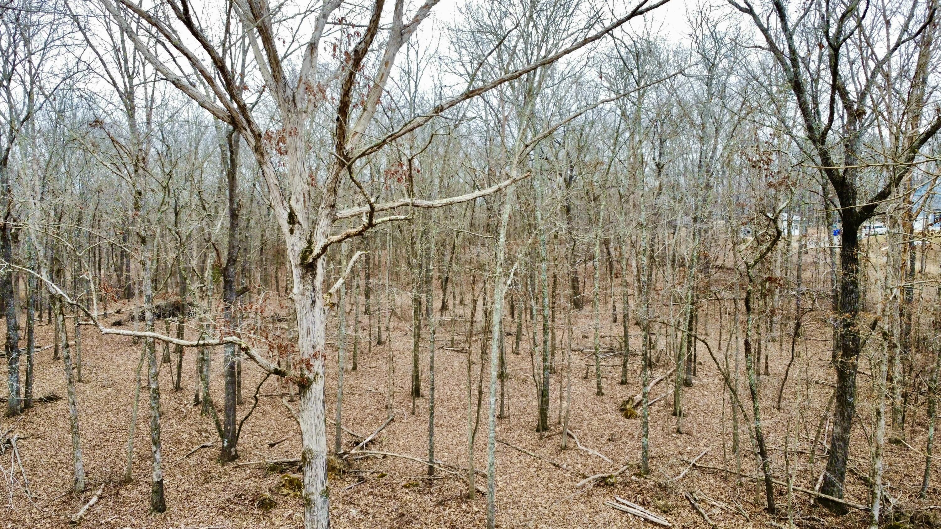 9.07 Acres Shahan Lane, Birchwood, Tennessee image 6
