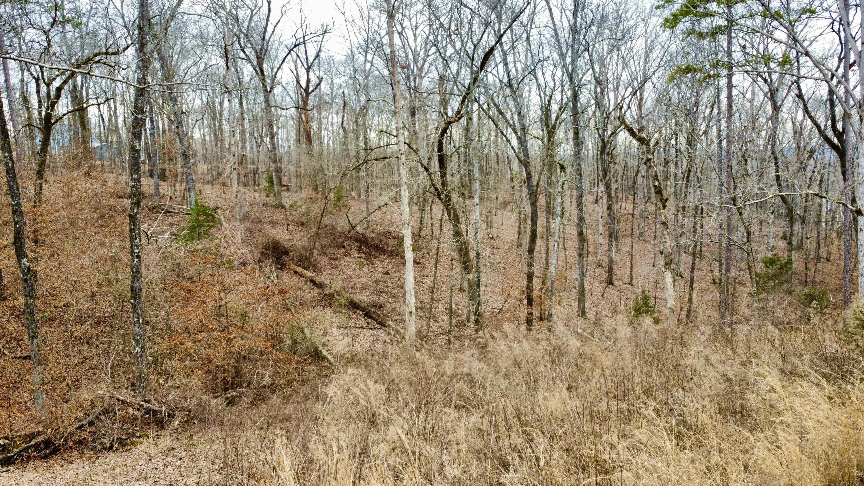 9.07 Acres Shahan Lane, Birchwood, Tennessee image 5