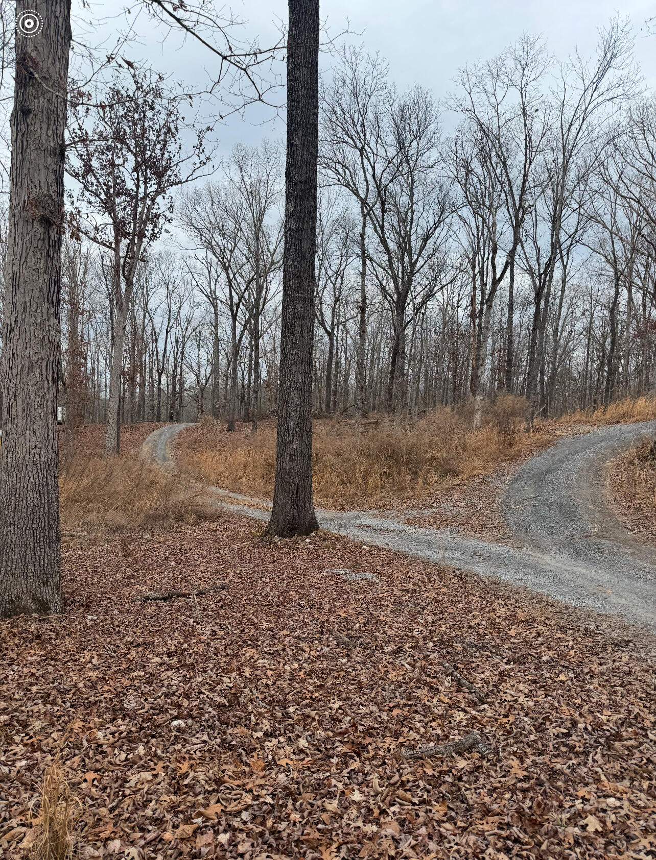 9.07 Acres Shahan Lane, Birchwood, Tennessee image 2