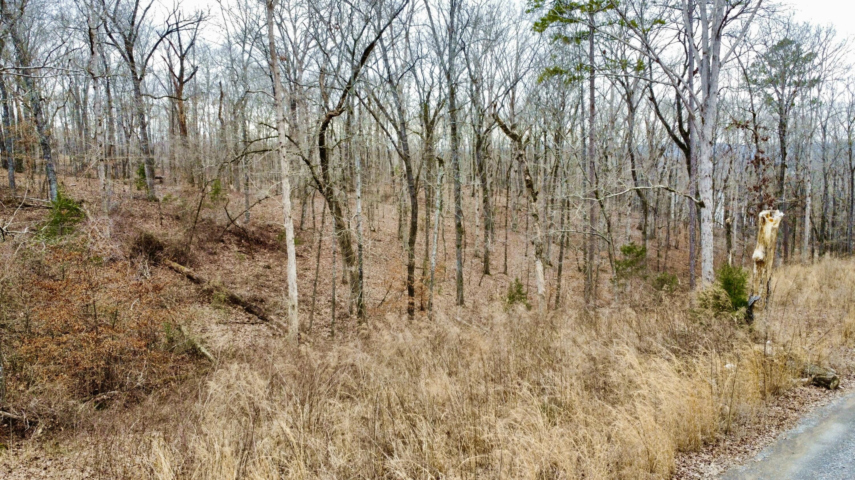 9.07 Acres Shahan Lane, Birchwood, Tennessee image 8