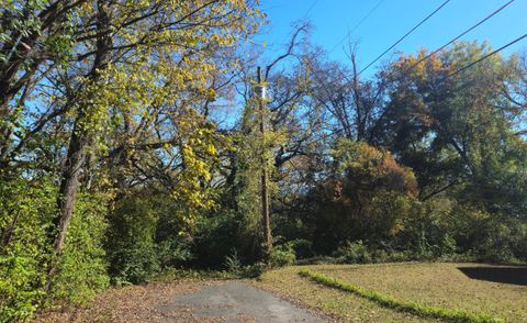 Photo of 3168 Chickalilly Drive, Chattanooga, TN 37404 (MLS # 1523403)