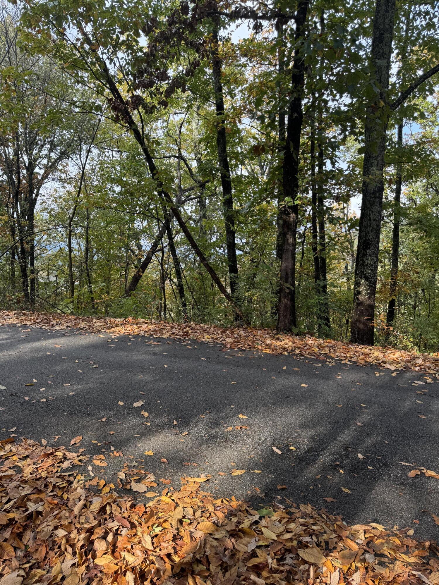 Clift Trail, Rossville, Georgia image 3