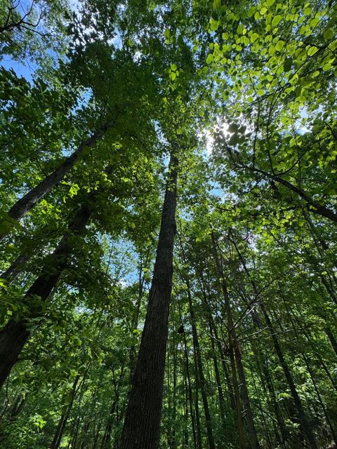 Tiny photo for 160 Scenic Circle, Ringgold, GA 30736 (MLS # 1511843)