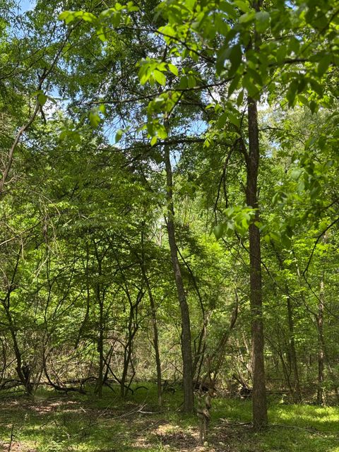 Tiny photo for 160 Scenic Circle, Ringgold, GA 30736 (MLS # 1511843)