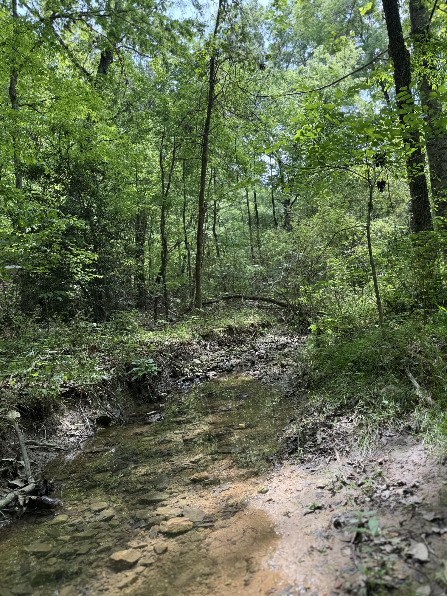 160 Scenic Circle, Ringgold, Georgia image 3