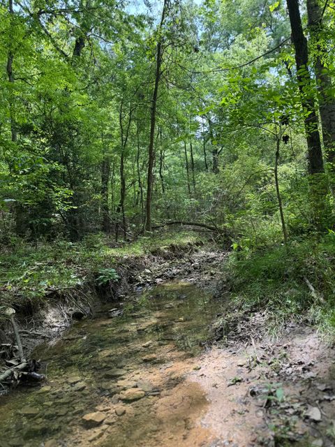 Tiny photo for 160 Scenic Circle, Ringgold, GA 30736 (MLS # 1511843)