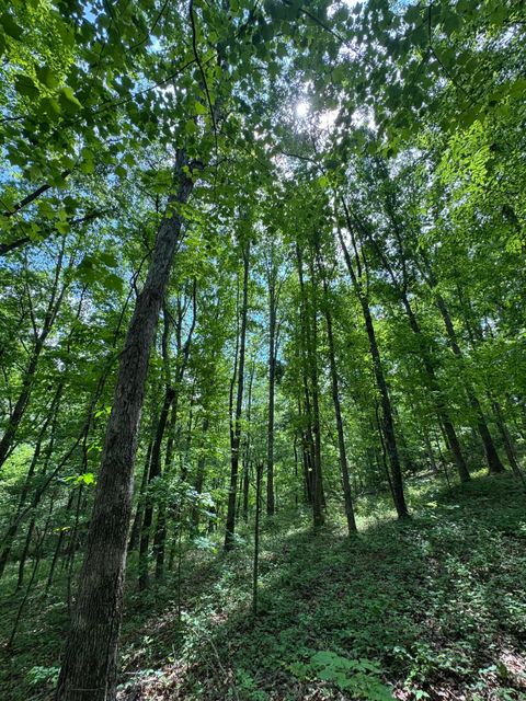 Tiny photo for 160 Scenic Circle, Ringgold, GA 30736 (MLS # 1511843)