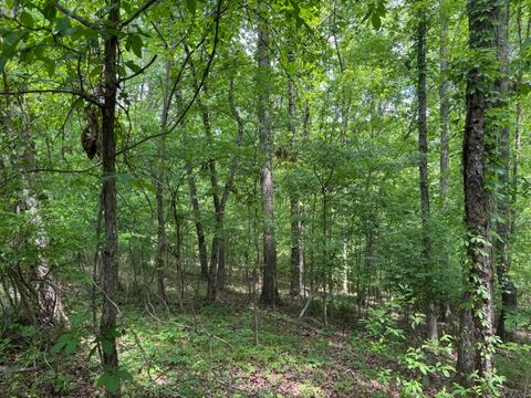 Tiny photo for 160 Scenic Circle, Ringgold, GA 30736 (MLS # 1511843)