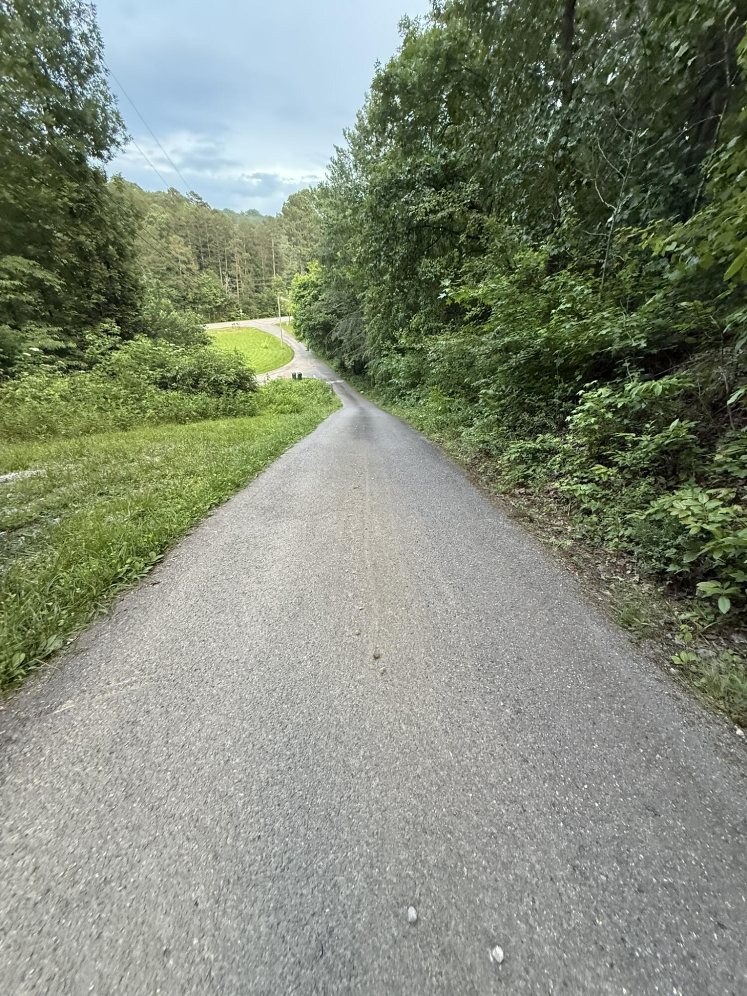 Morrison Lane, Ringgold, Georgia image 4