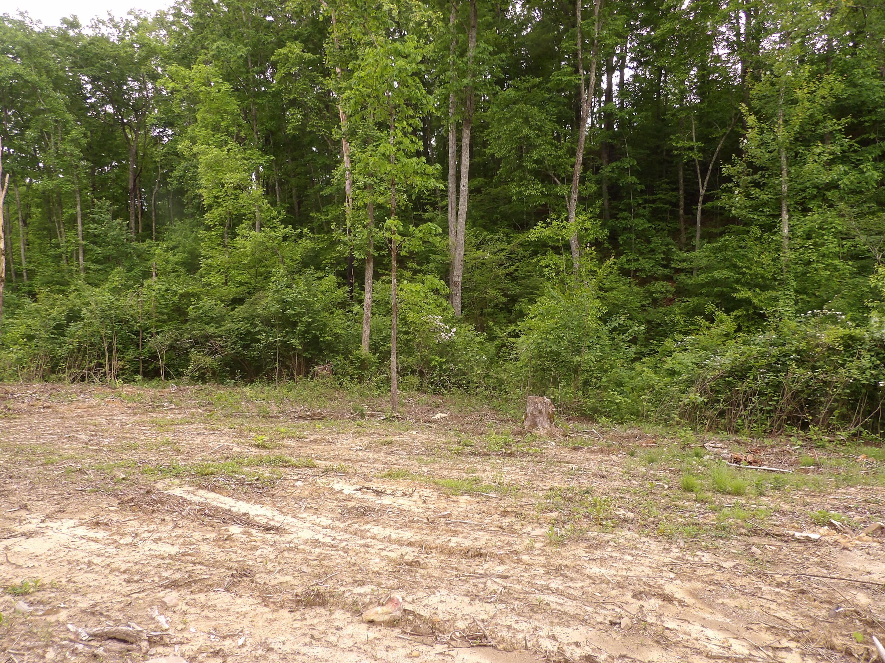 000 Overview Road, Crossville, Tennessee image 42