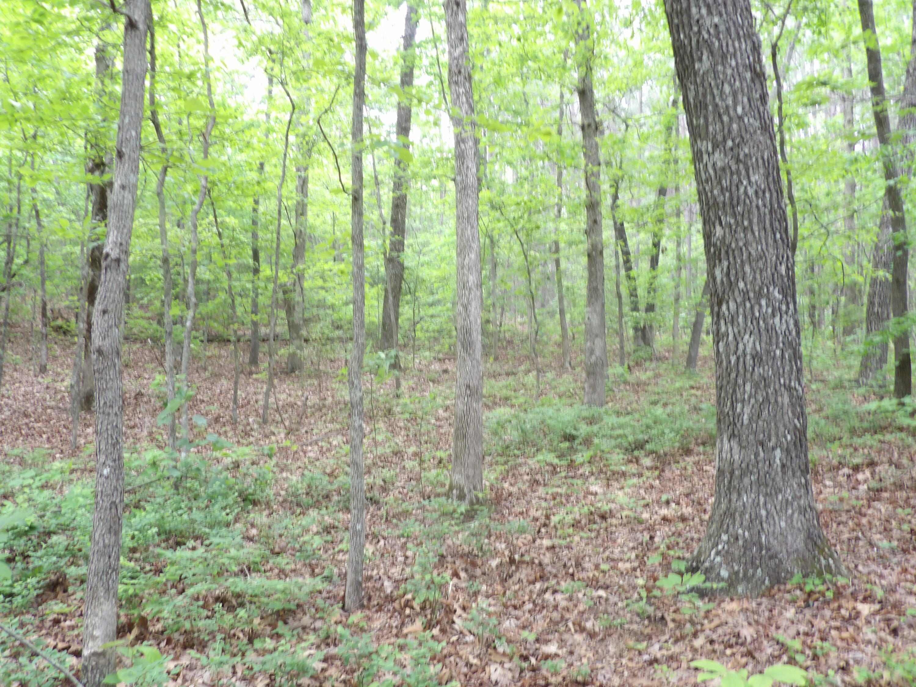 000 Overview Road, Crossville, Tennessee image 36