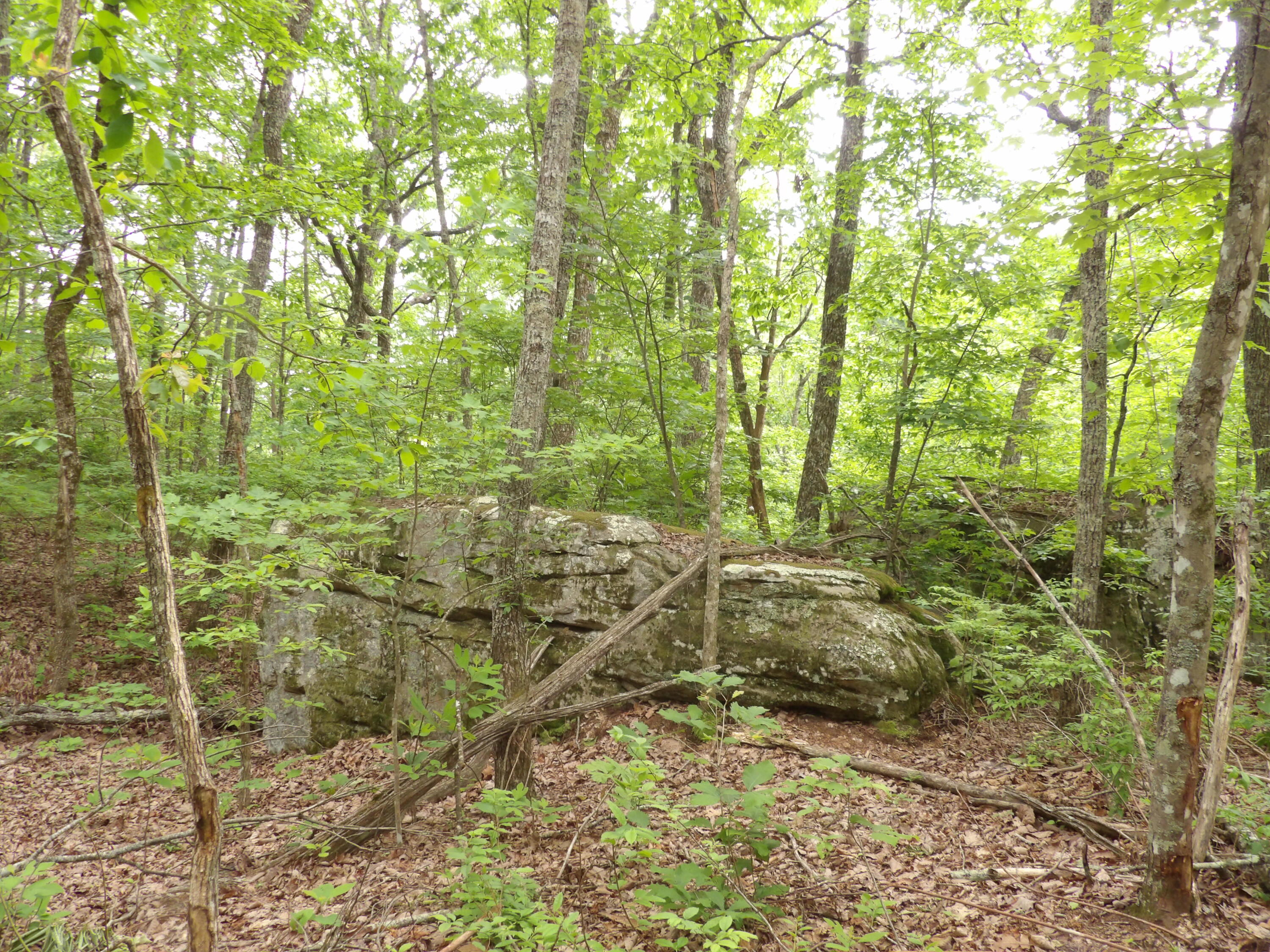 000 Overview Road, Crossville, Tennessee image 32