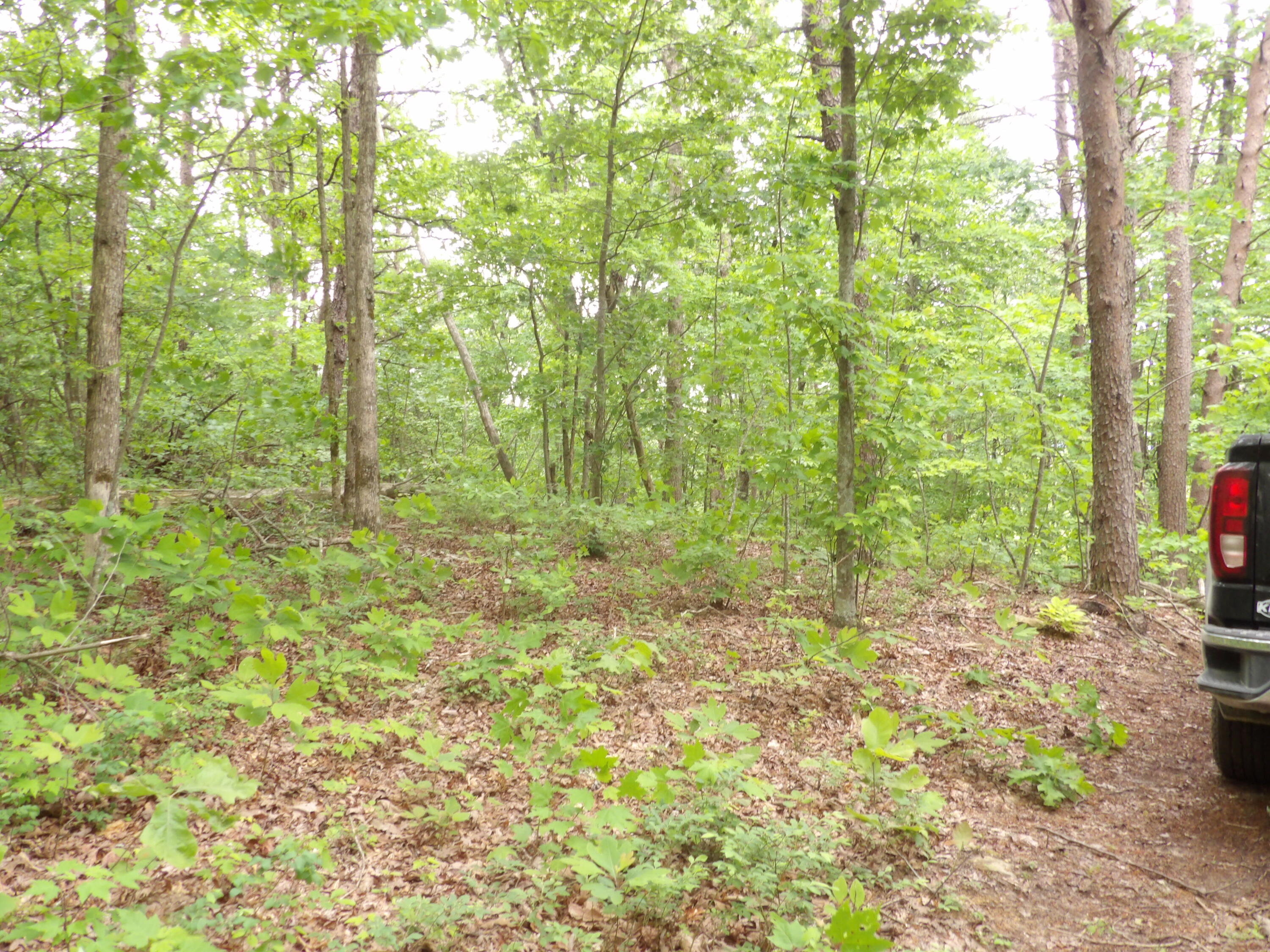 000 Overview Road, Crossville, Tennessee image 39