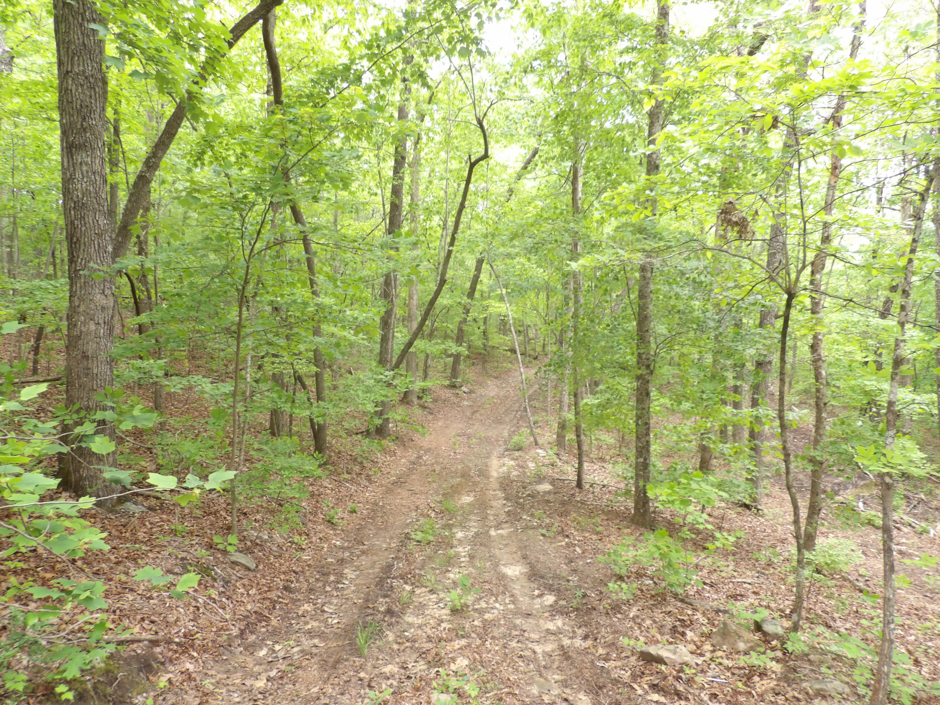 000 Overview Road, Crossville, Tennessee image 24