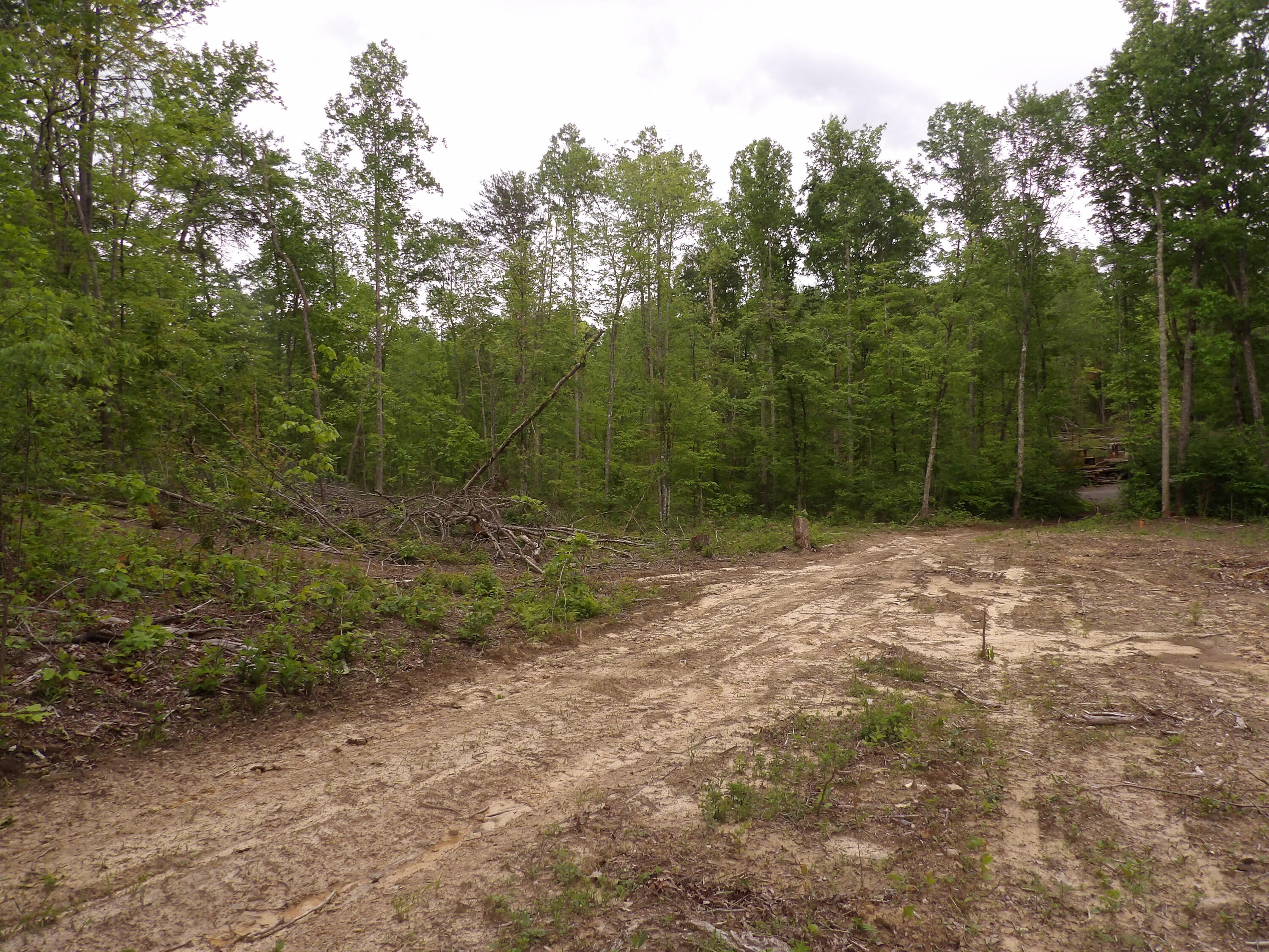 000 Overview Road, Crossville, Tennessee image 43