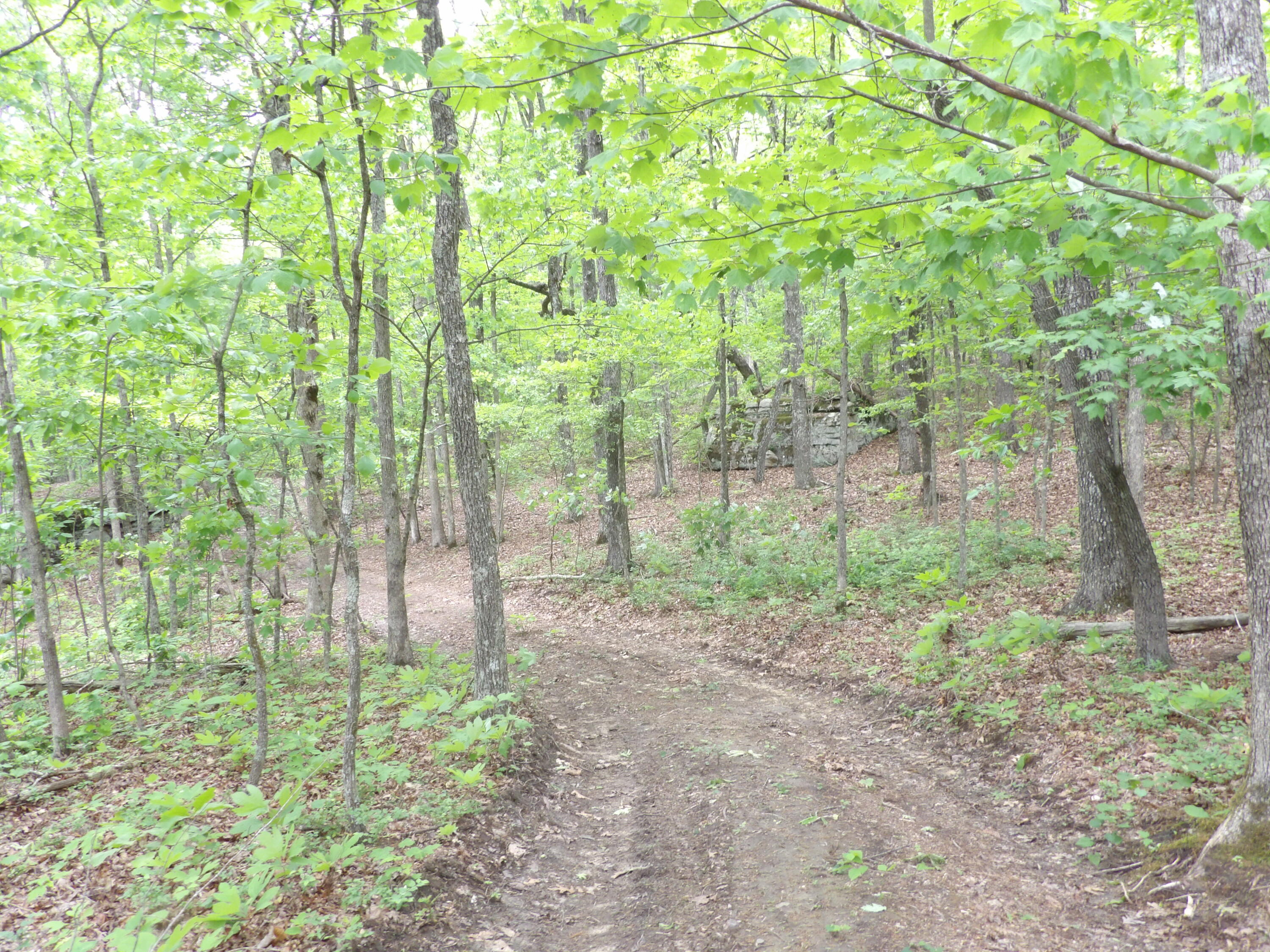 000 Overview Road, Crossville, Tennessee image 2