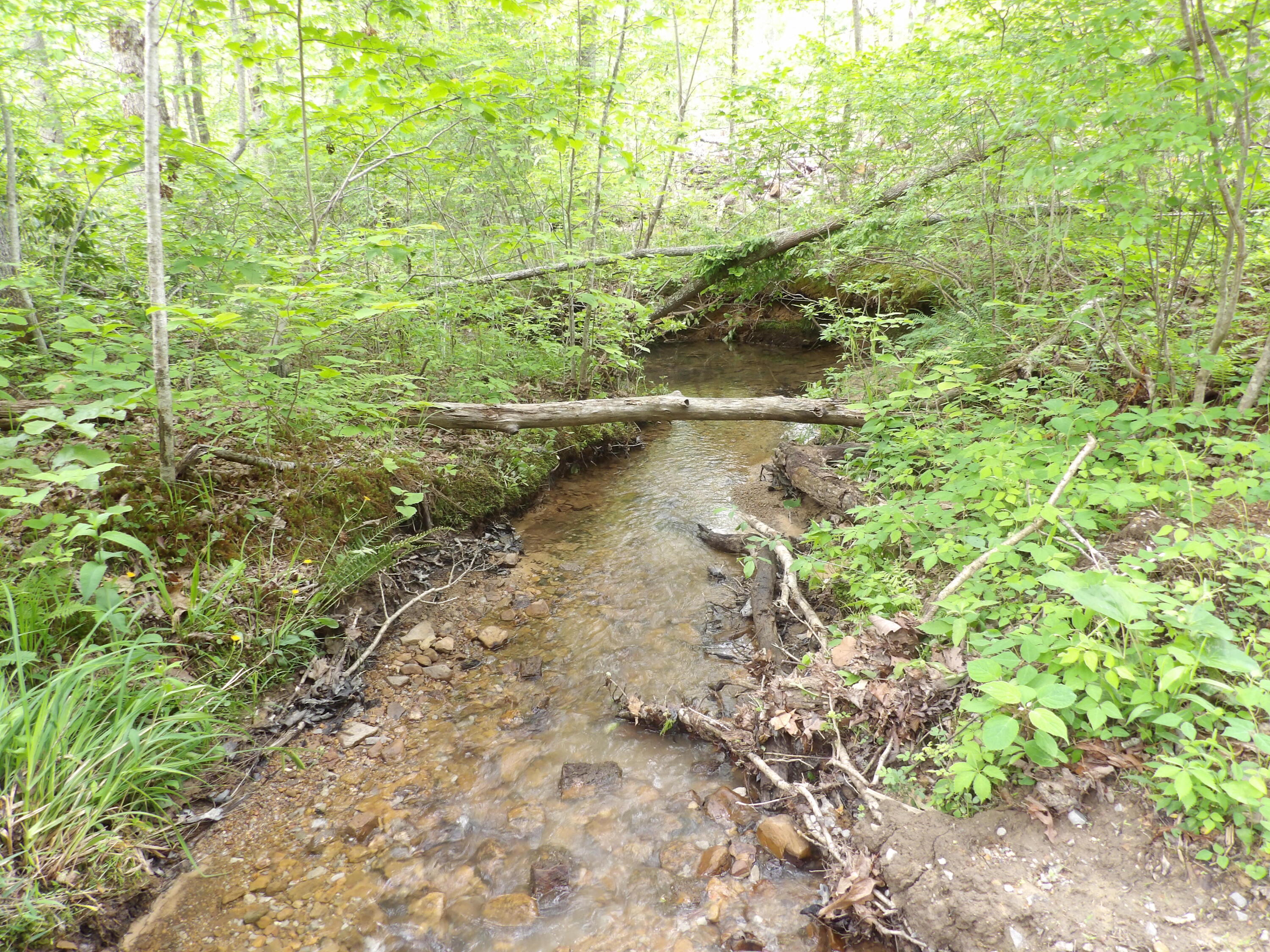 000 Overview Road, Crossville, Tennessee image 3