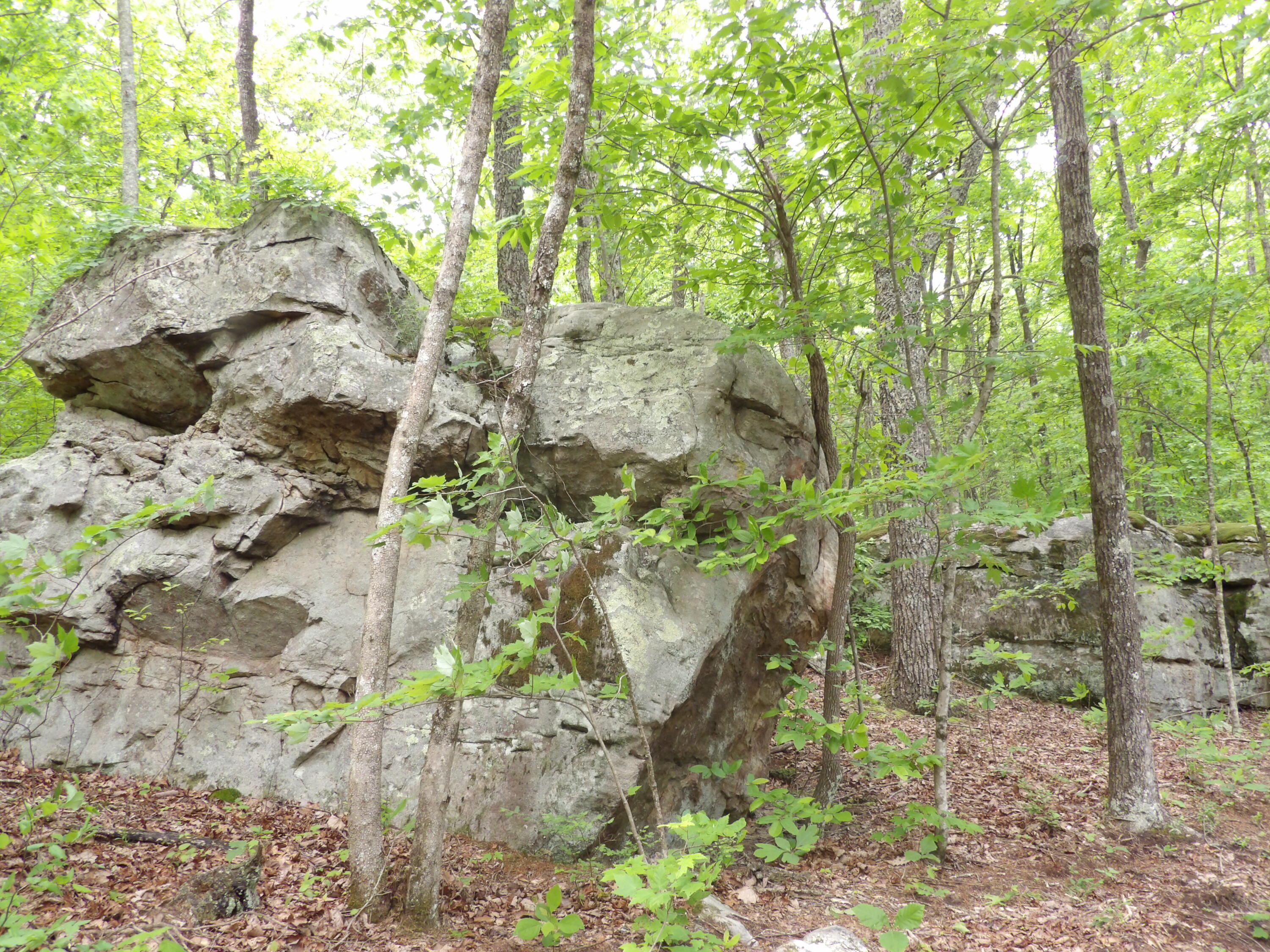 000 Overview Road, Crossville, Tennessee image 30