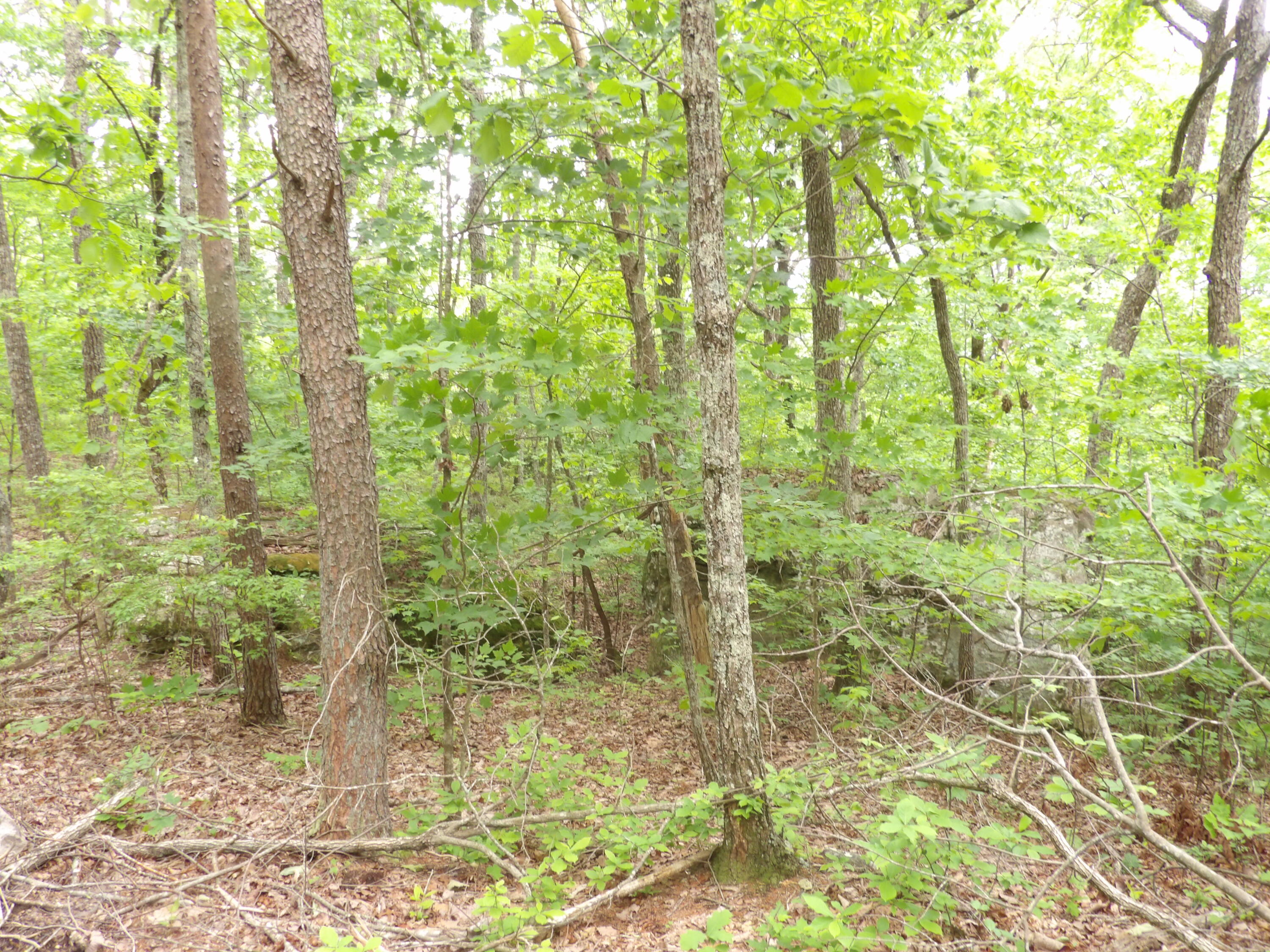 000 Overview Road, Crossville, Tennessee image 29