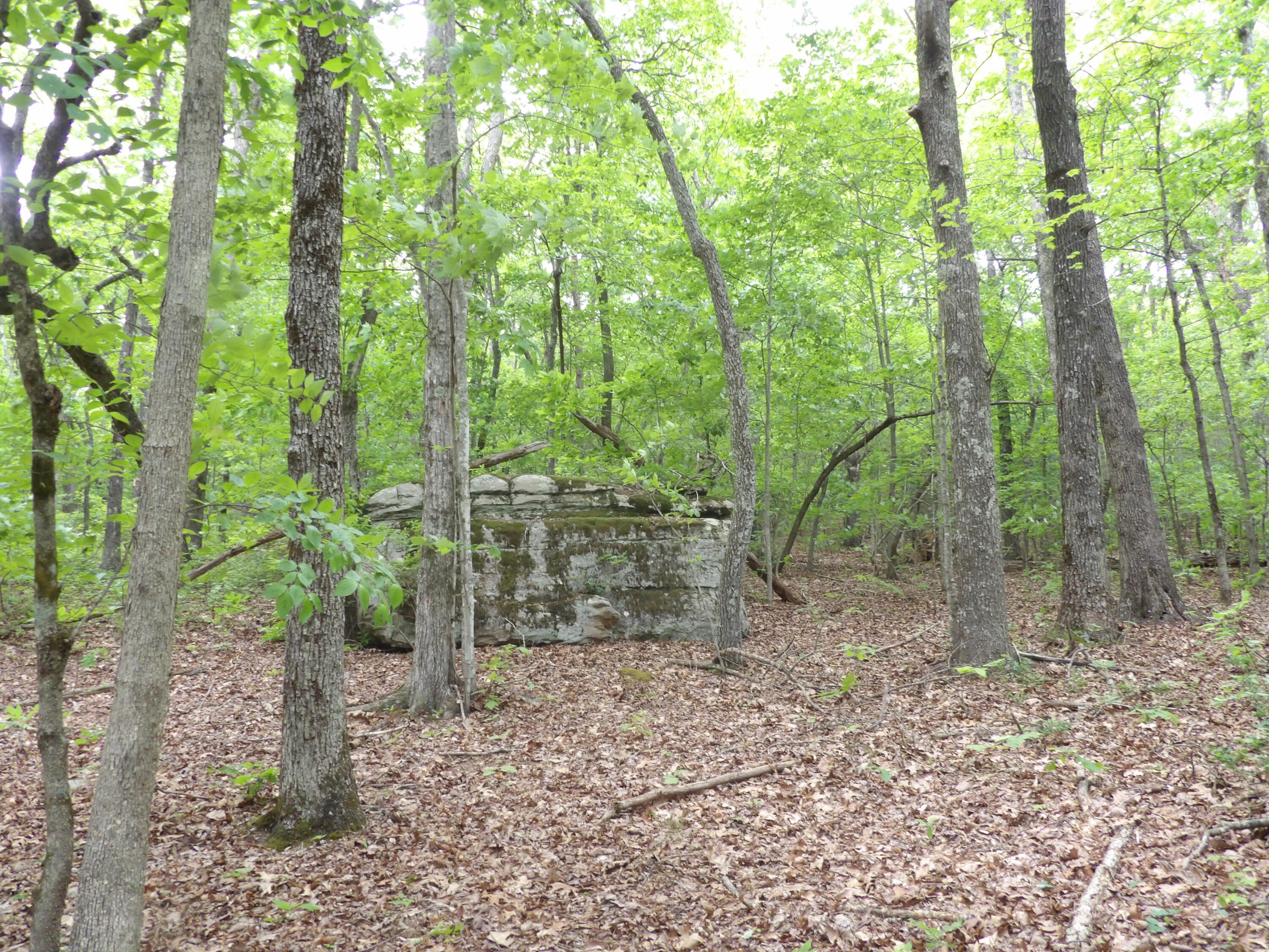 000 Overview Road, Crossville, Tennessee image 33