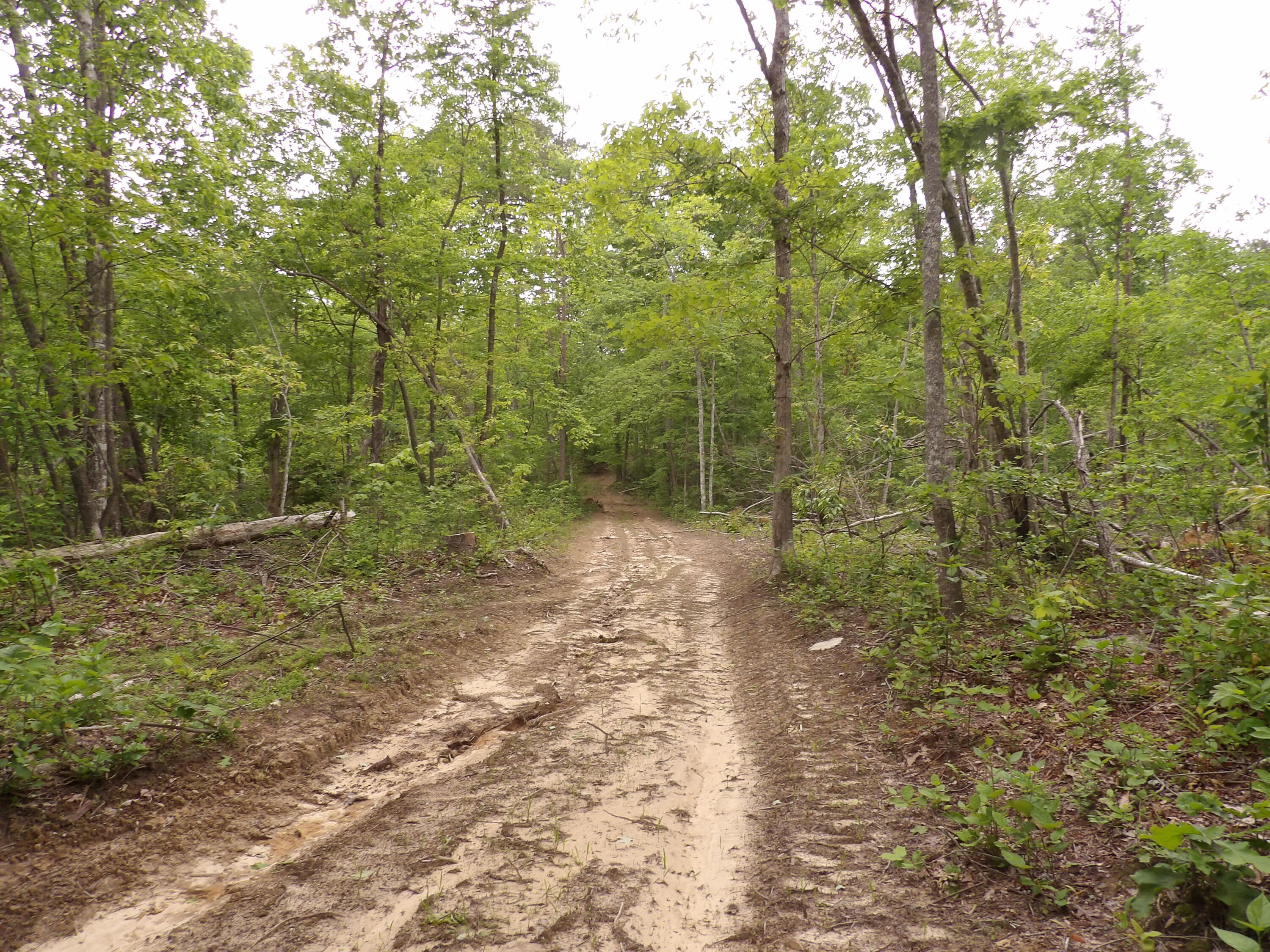 000 Overview Road, Crossville, Tennessee image 9