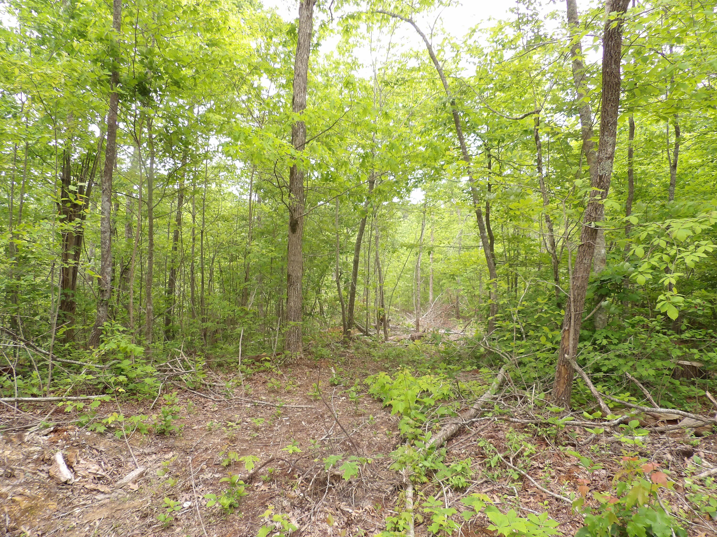 000 Overview Road, Crossville, Tennessee image 8