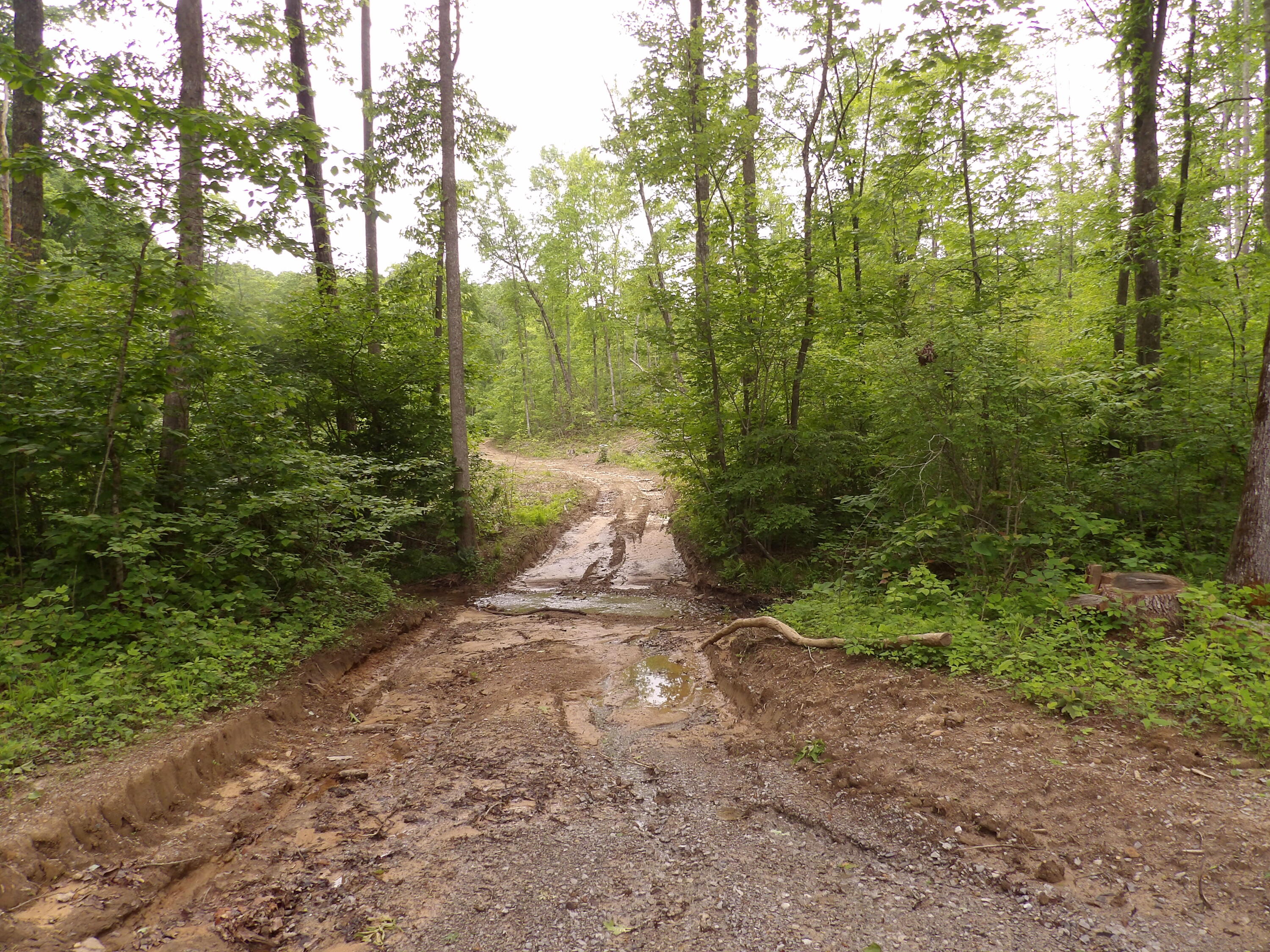 000 Overview Road, Crossville, Tennessee image 22