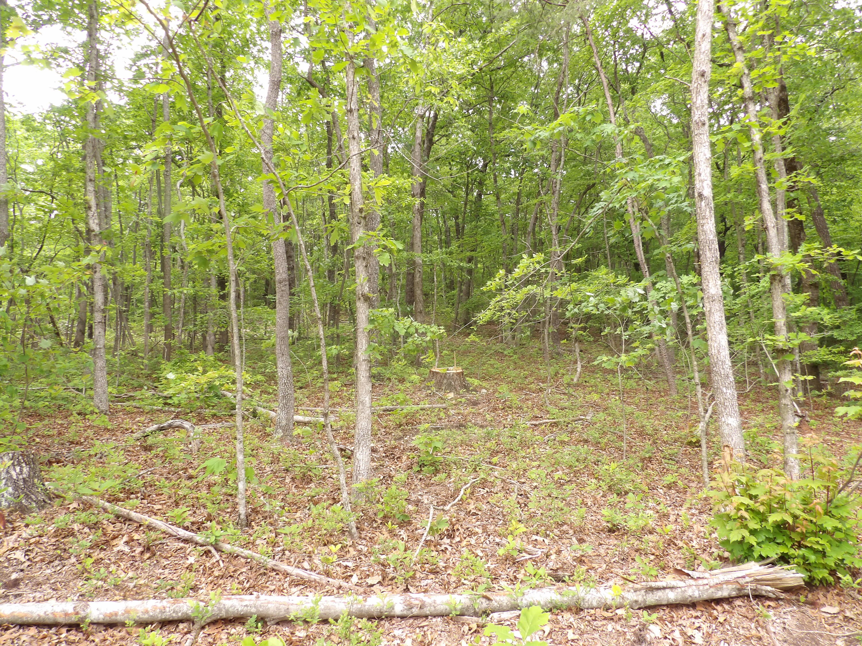 000 Overview Road, Crossville, Tennessee image 16