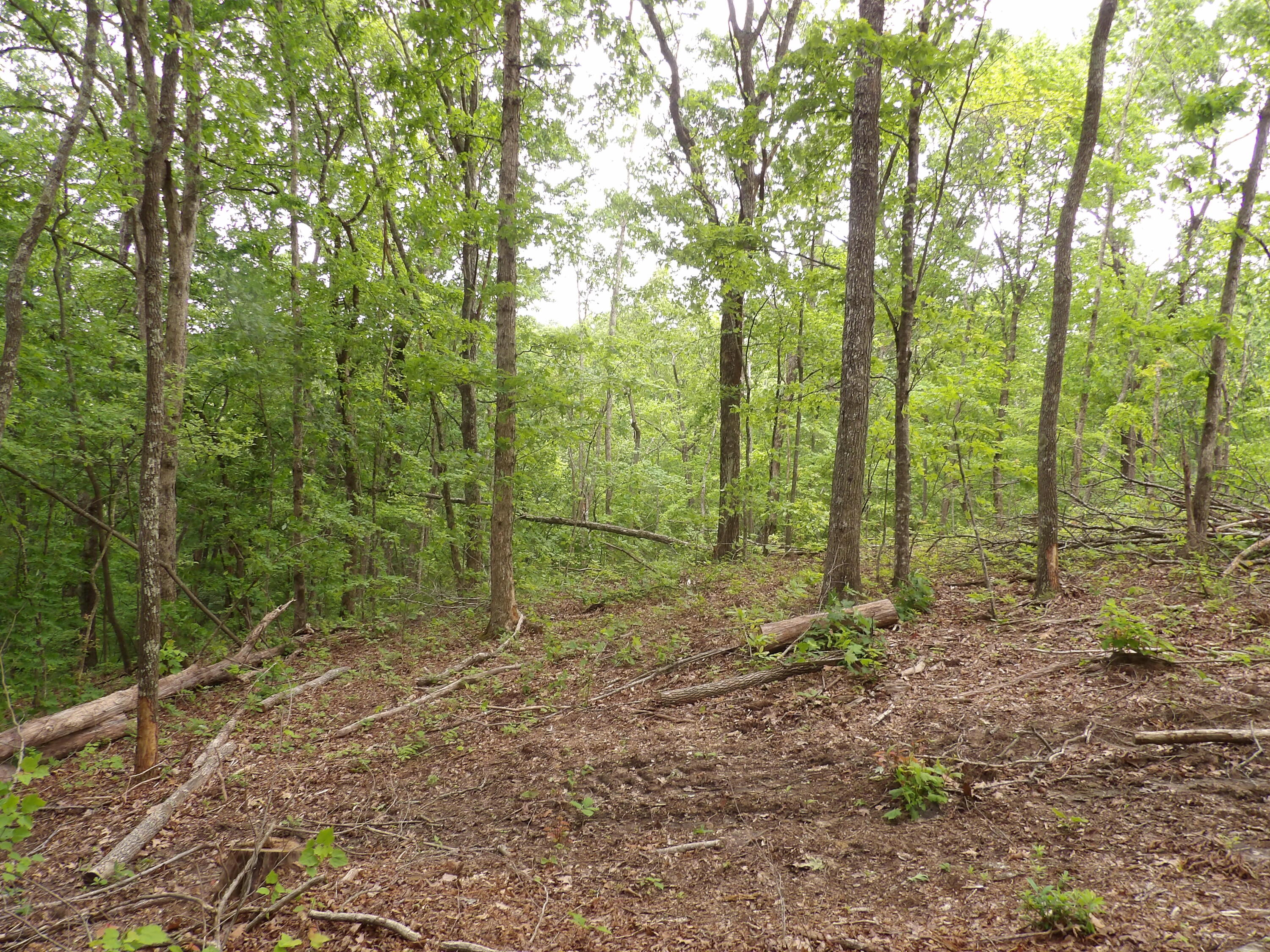 000 Overview Road, Crossville, Tennessee image 23