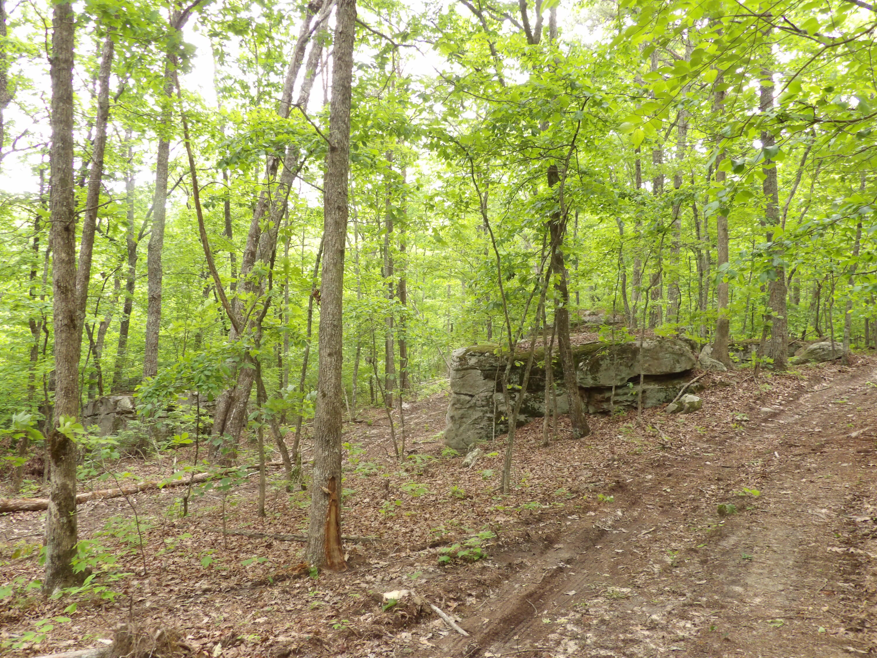 000 Overview Road, Crossville, Tennessee image 34