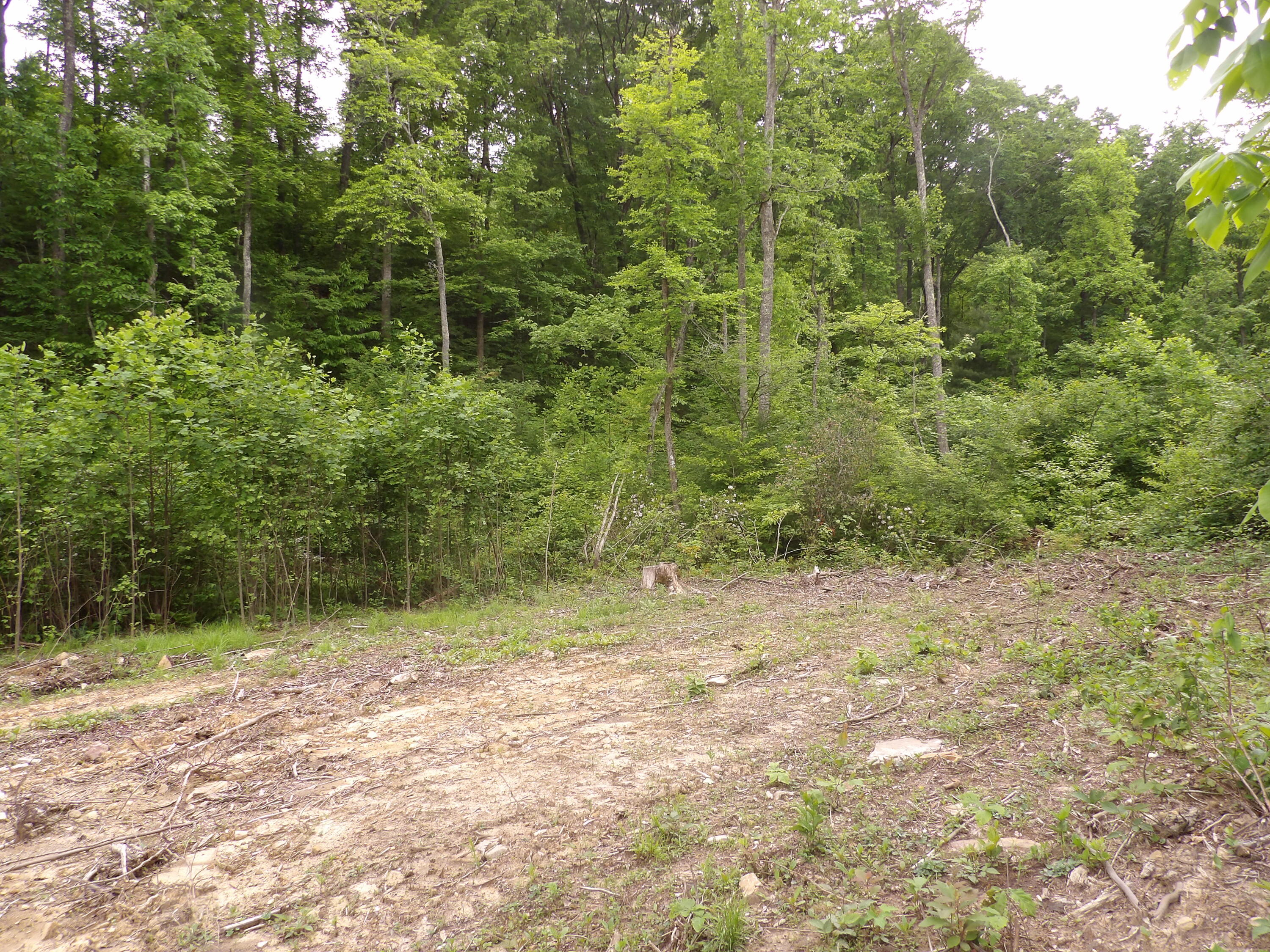 000 Overview Road, Crossville, Tennessee image 41