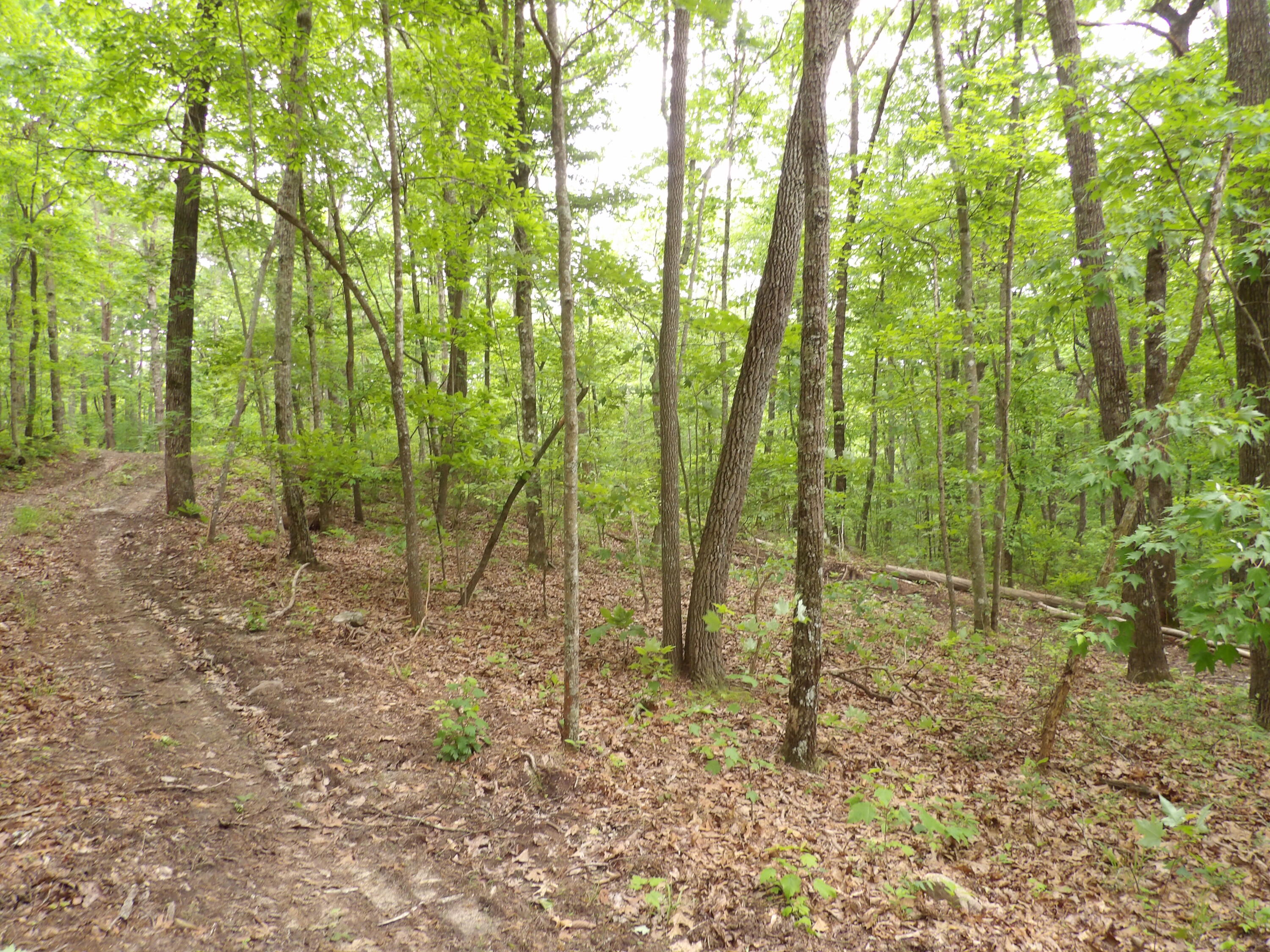 000 Overview Road, Crossville, Tennessee image 27