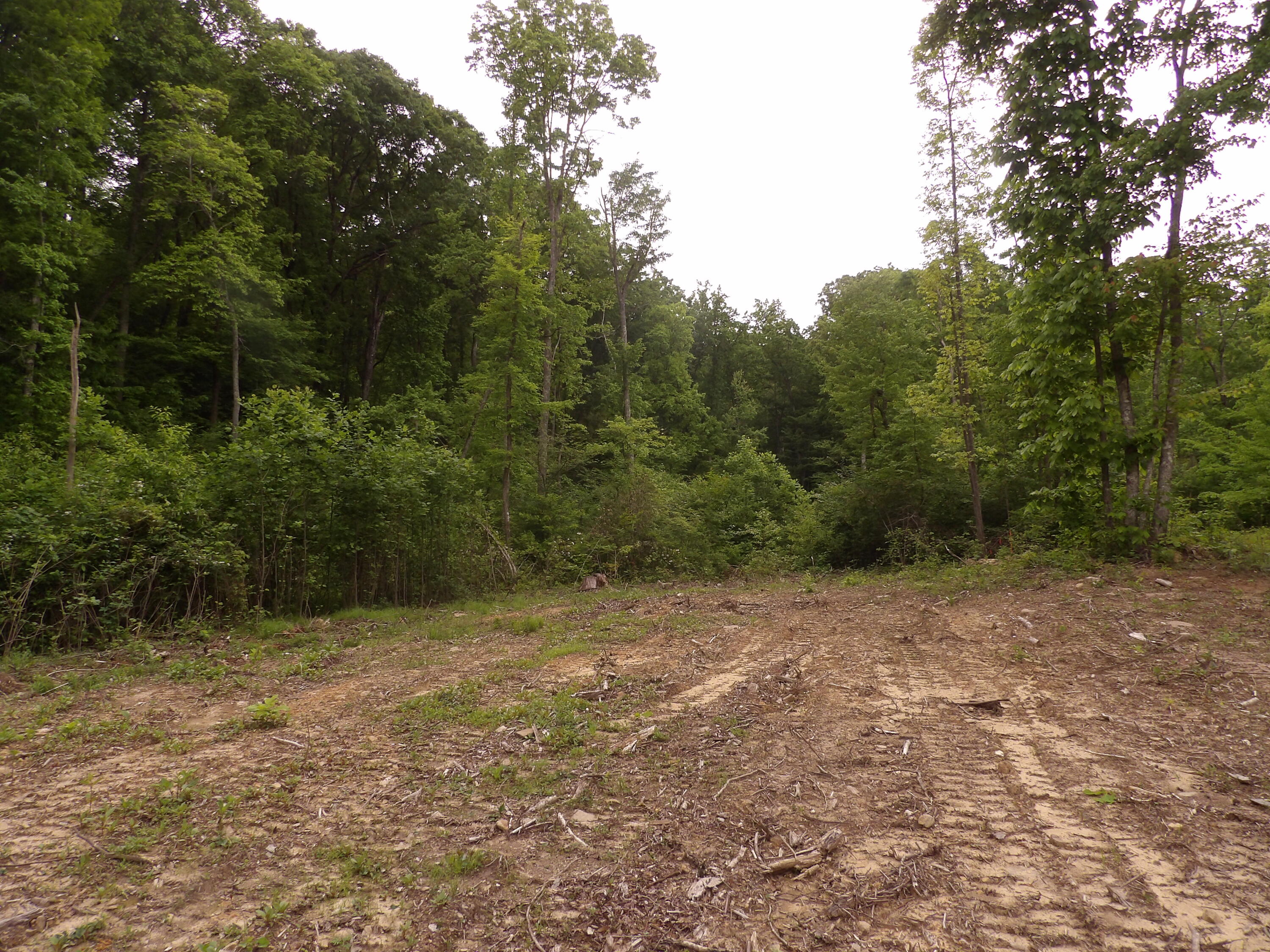 000 Overview Road, Crossville, Tennessee image 46