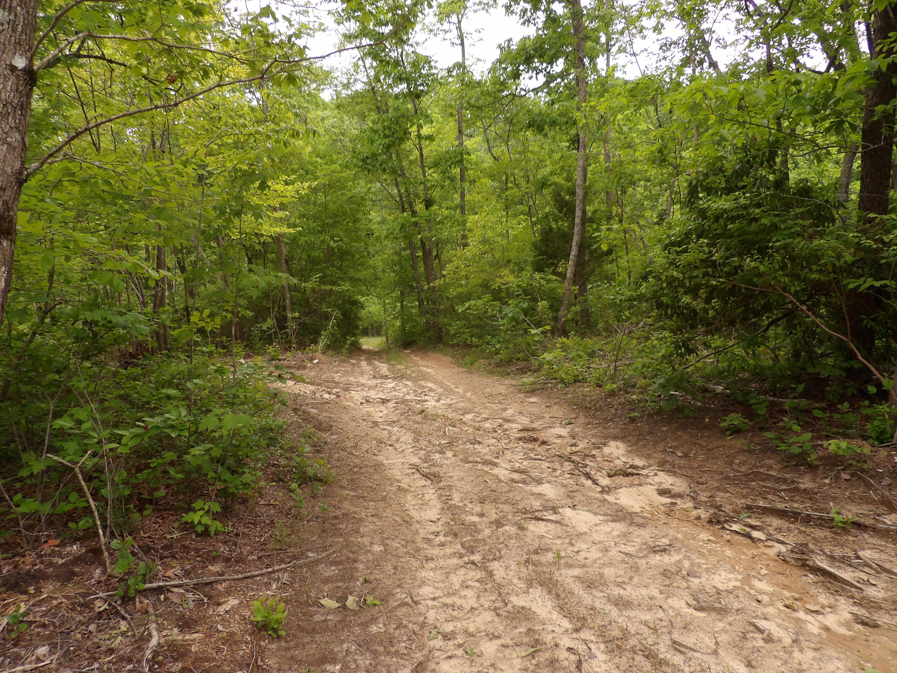 000 Overview Road, Crossville, Tennessee image 7