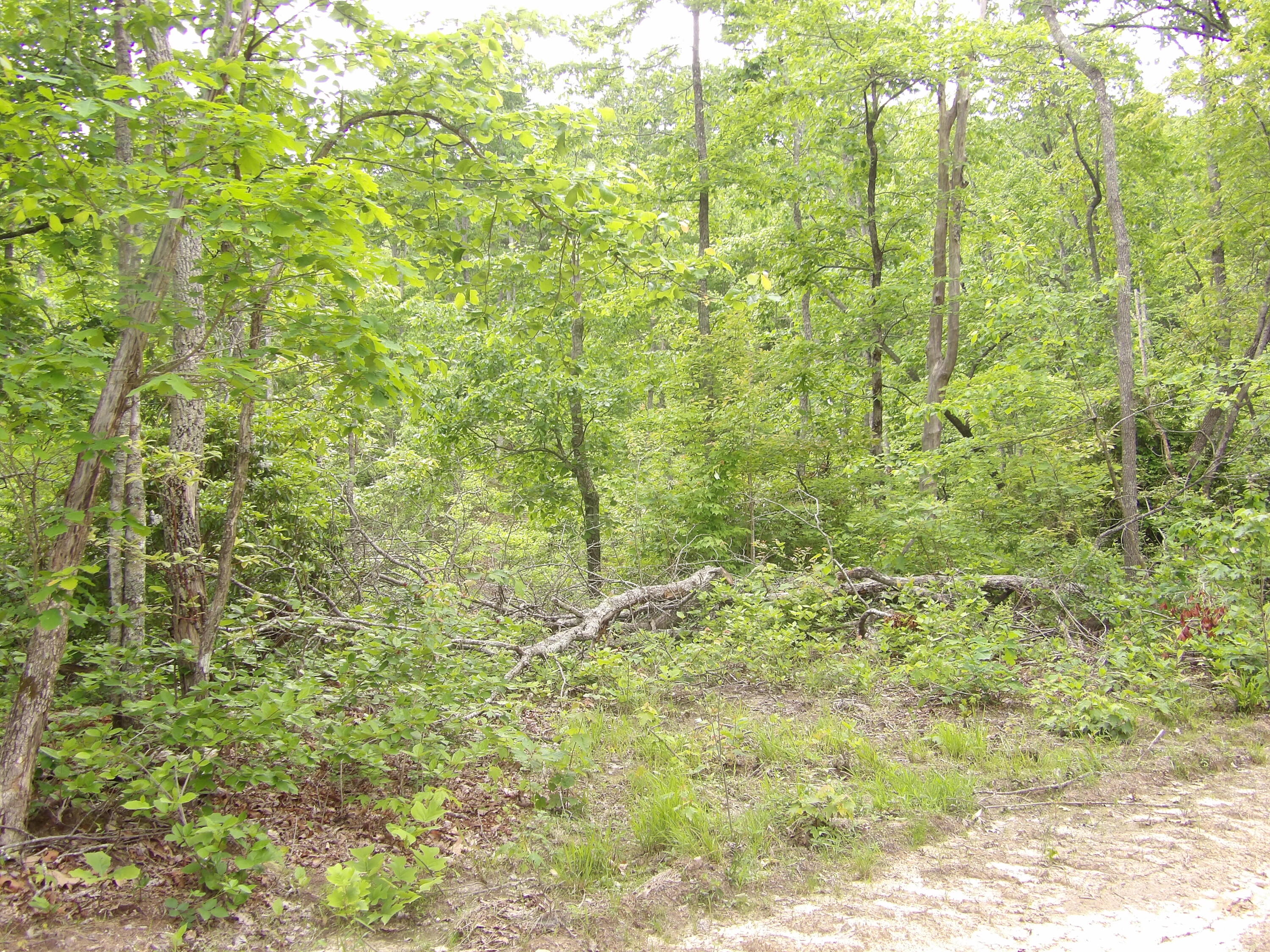 000 Overview Road, Crossville, Tennessee image 12