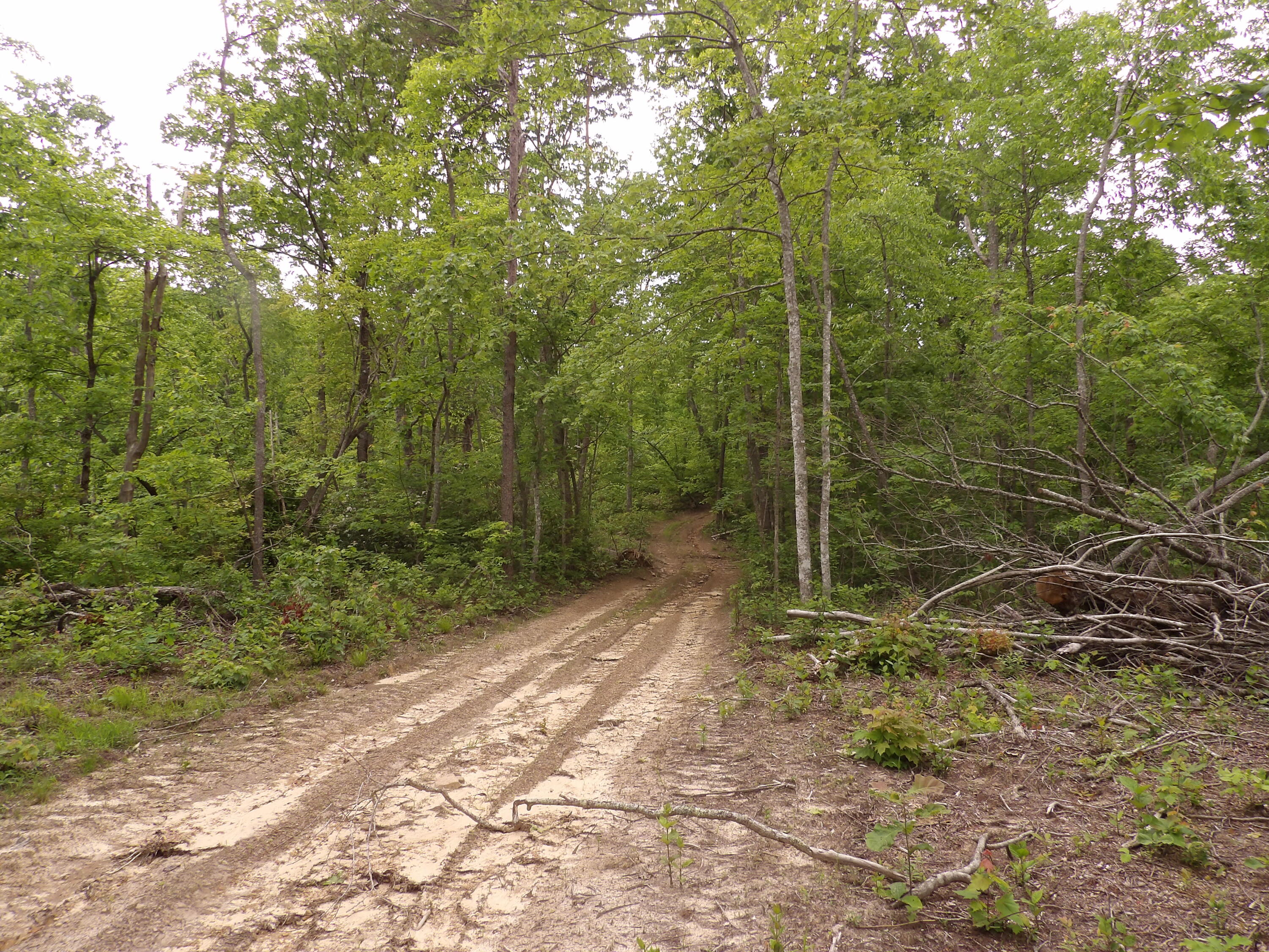 000 Overview Road, Crossville, Tennessee image 11